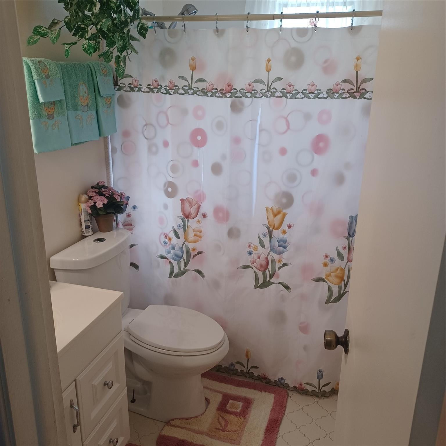 MLS #F10533418 image #13