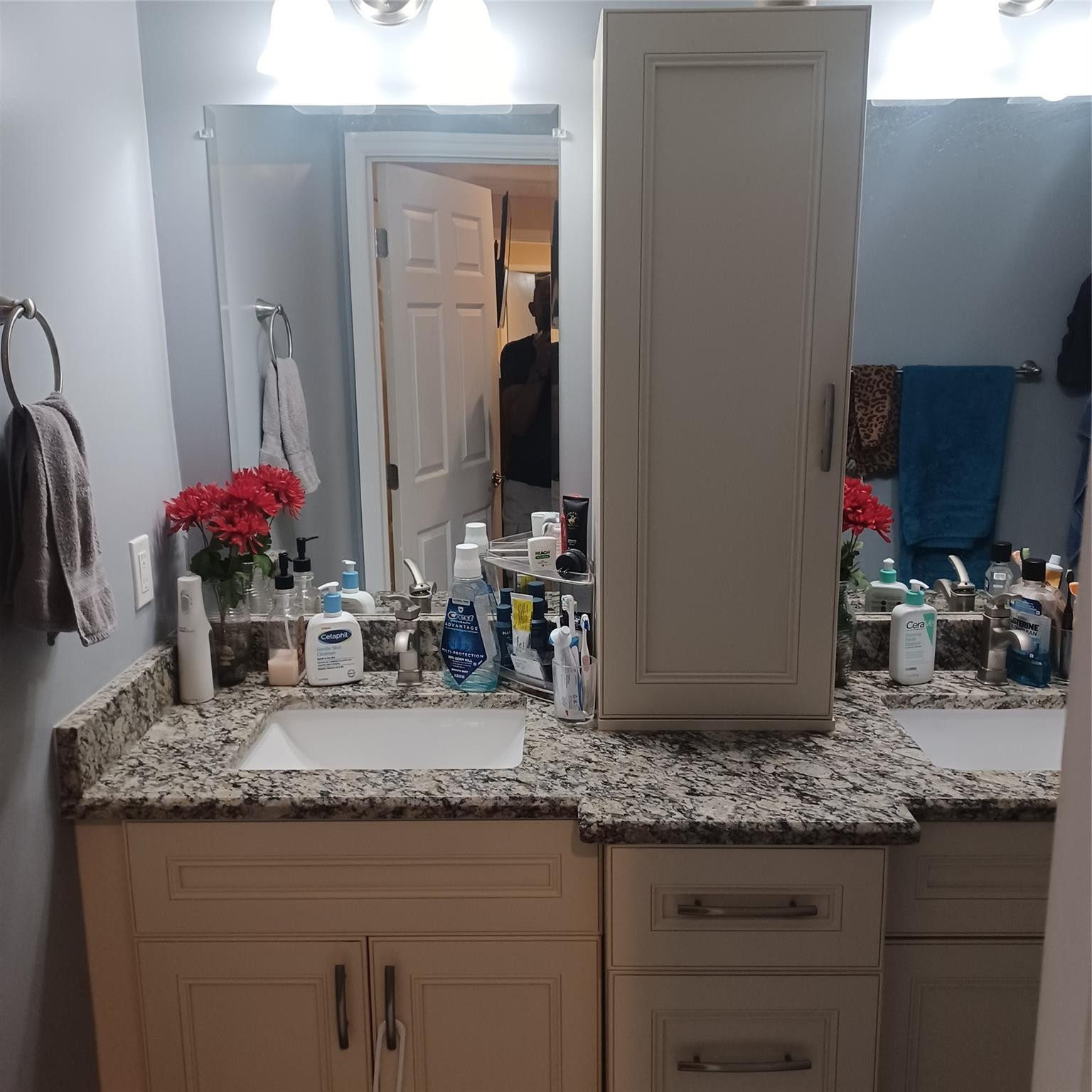 MLS #F10533428 image #15