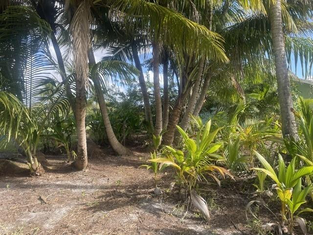 MLS #F10541743 image #16