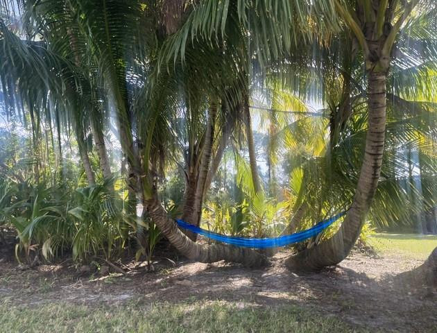 MLS #F10541743 image #17