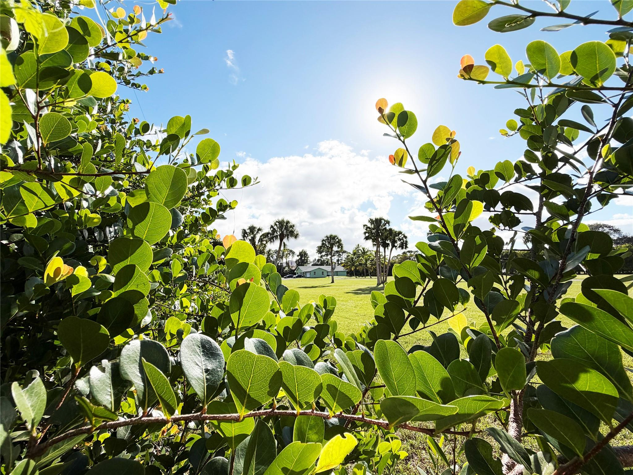 MLS #F10541743 image #3