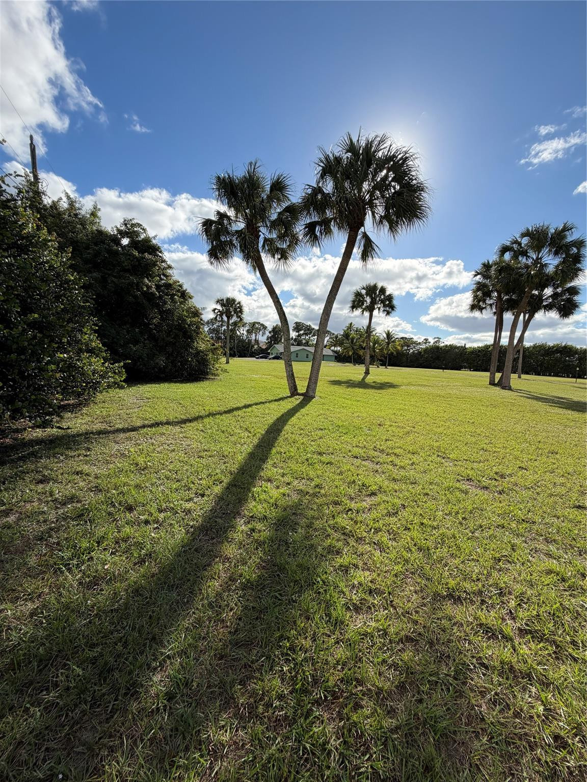 MLS #F10541743 image #9