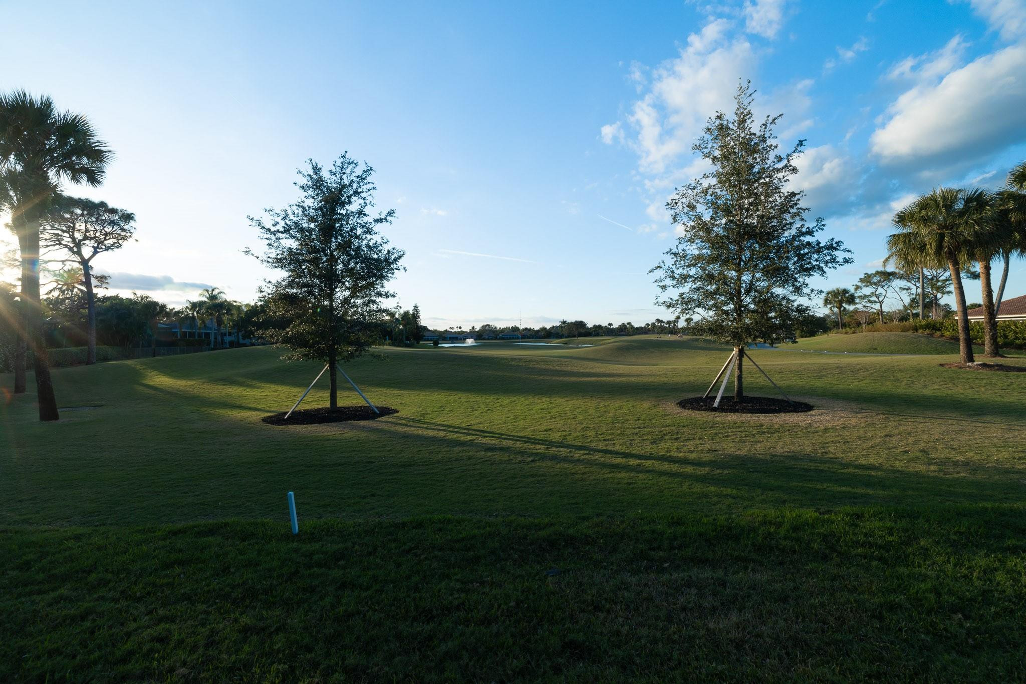 MLS #F10546305 image #5