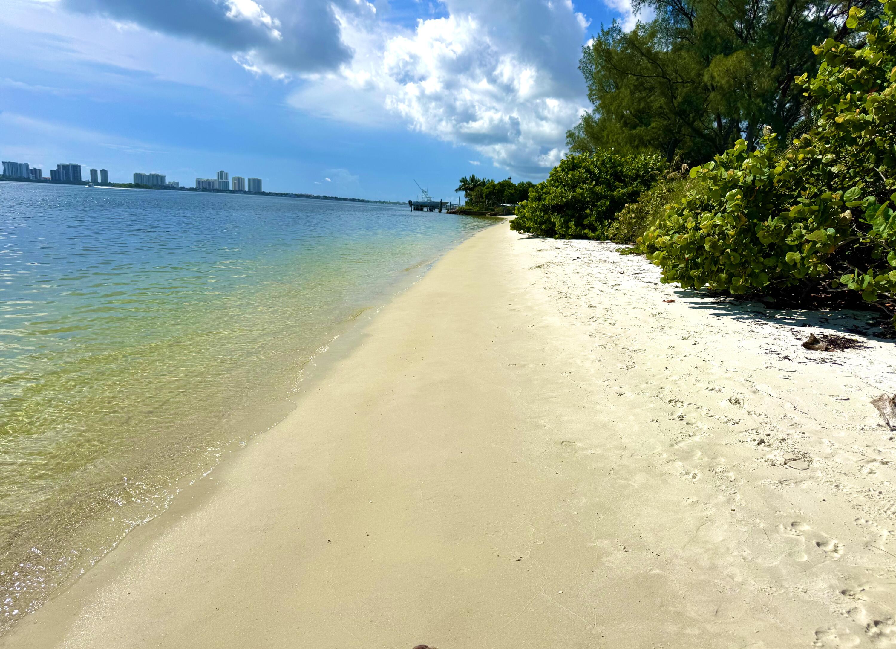 MLS #R11137116 image #25