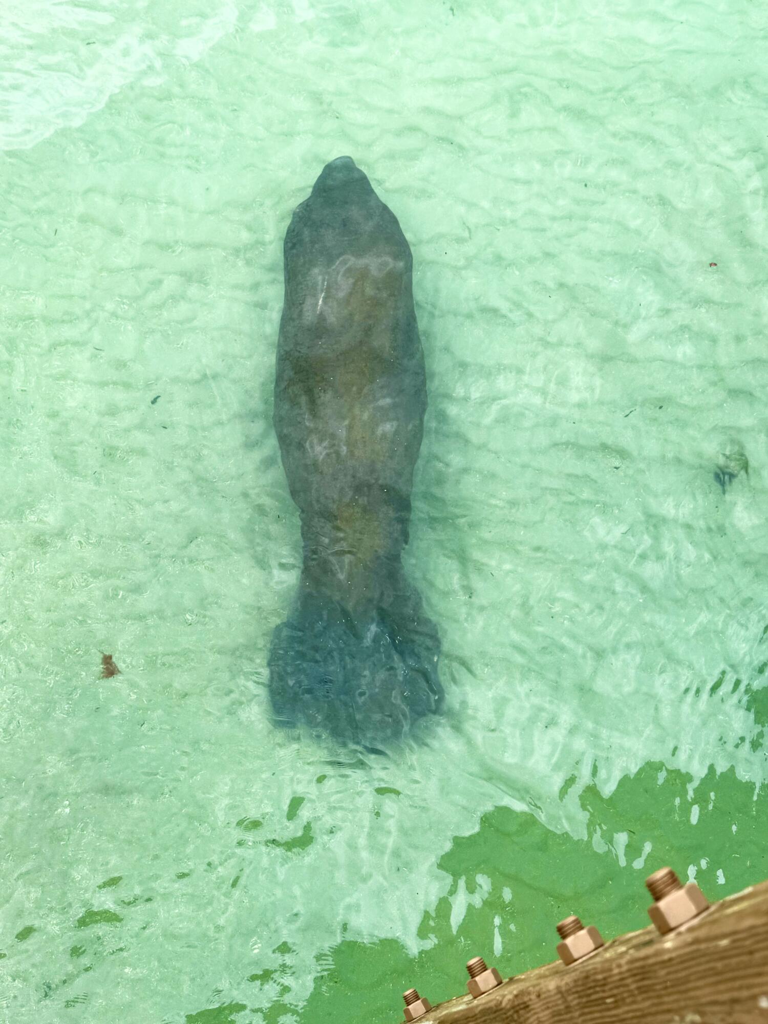 MLS #R11137116 image #26