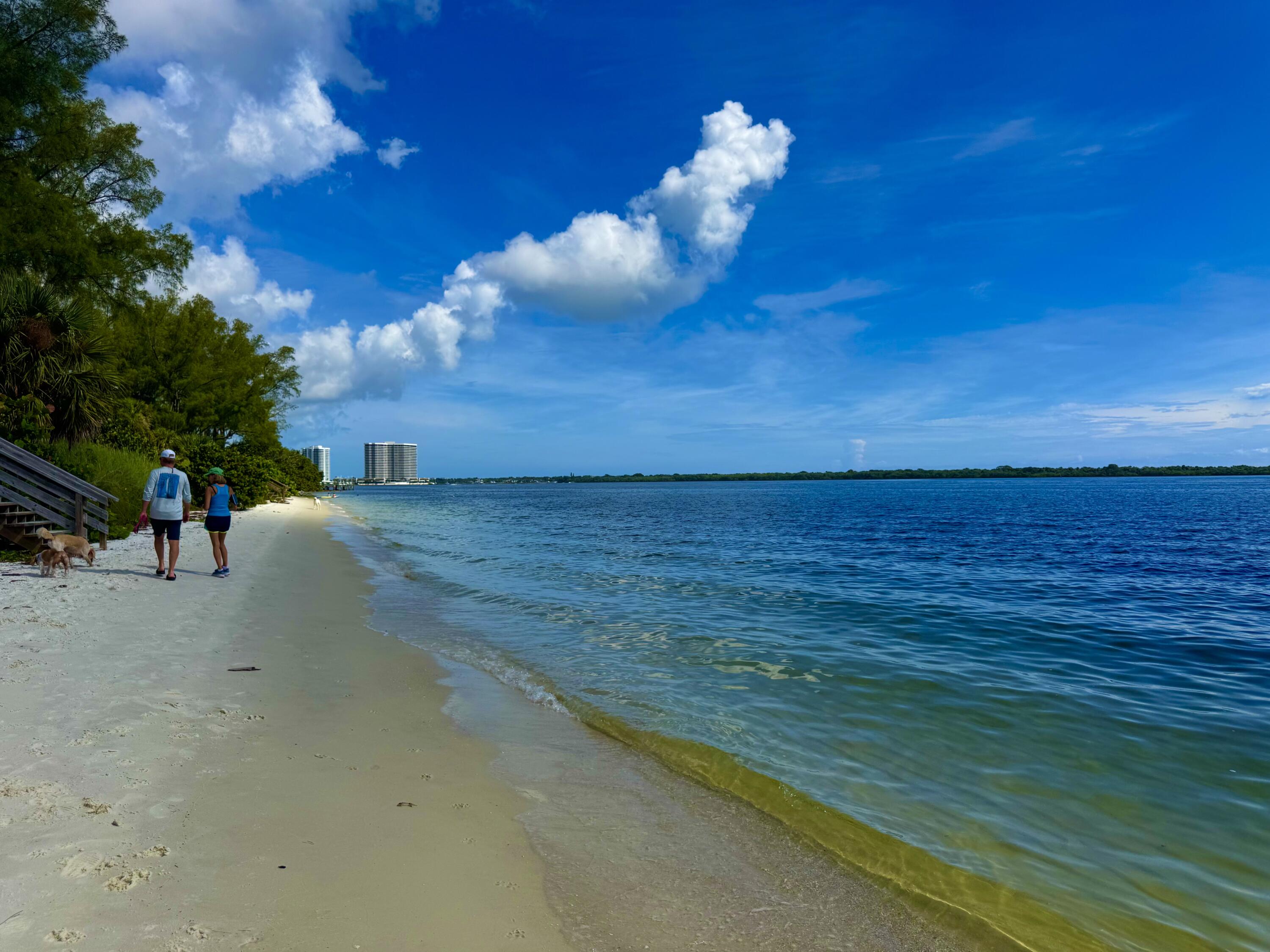 MLS #R11137116 image #27