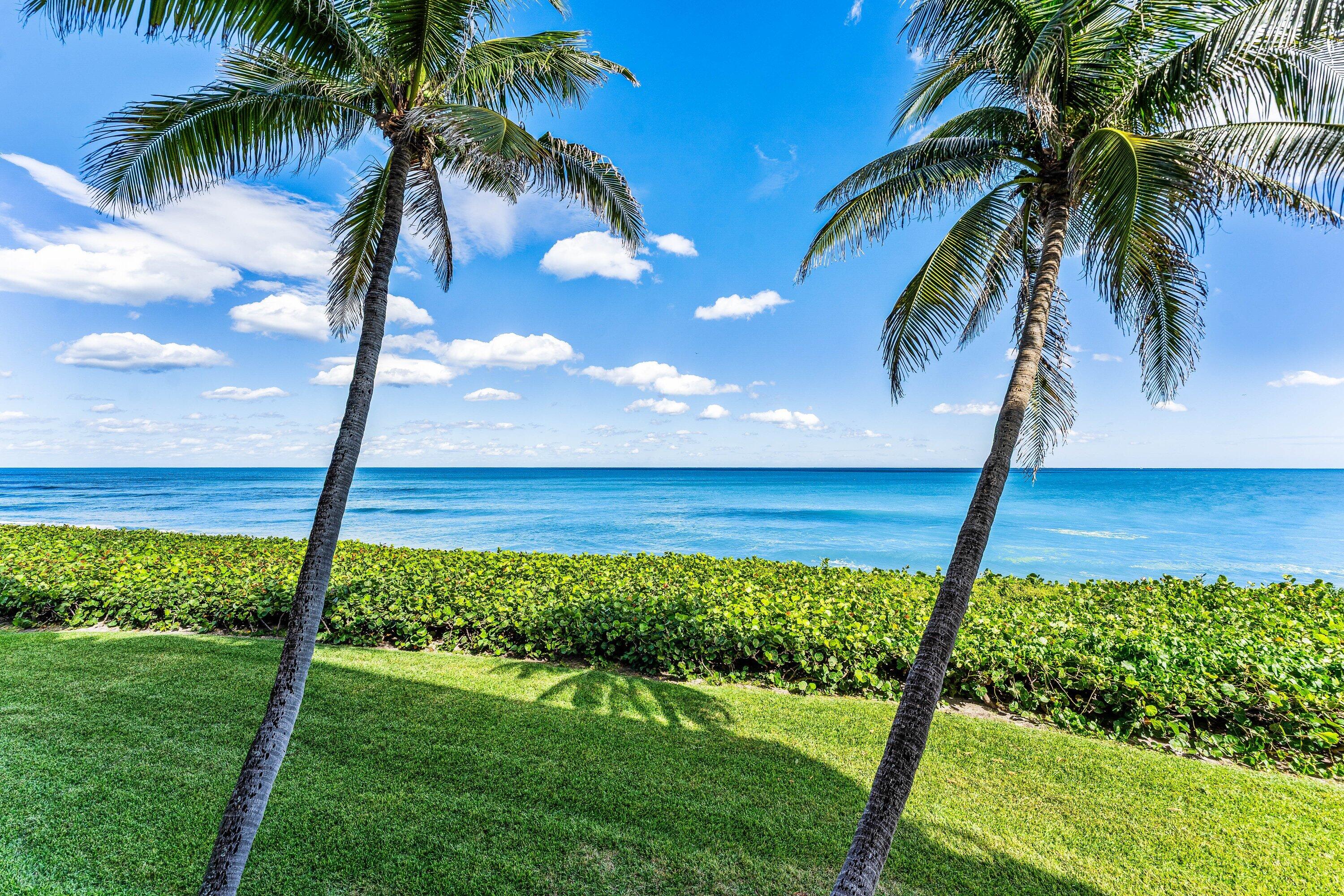 MLS #R11137356 image #9