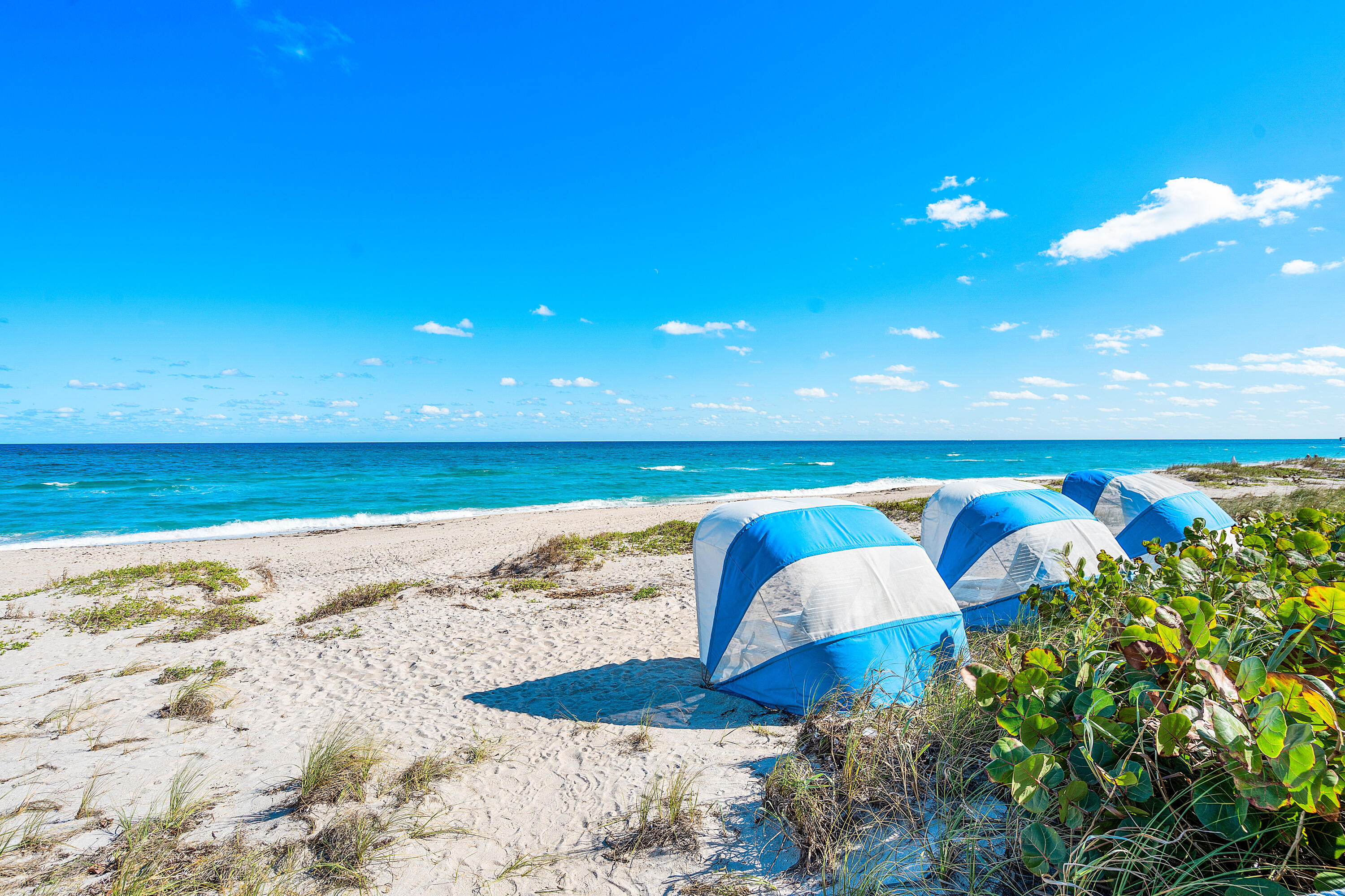 MLS #R11138909 image #22