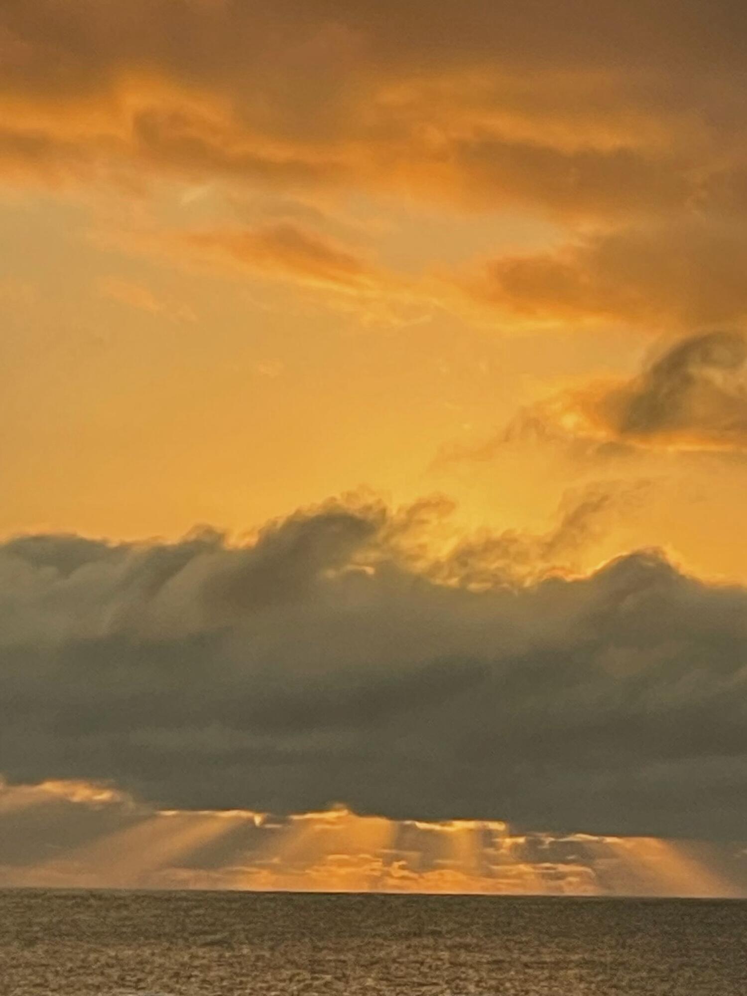 MLS #R11138913 image #34