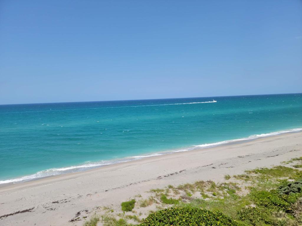 MLS #R11139157 image #79