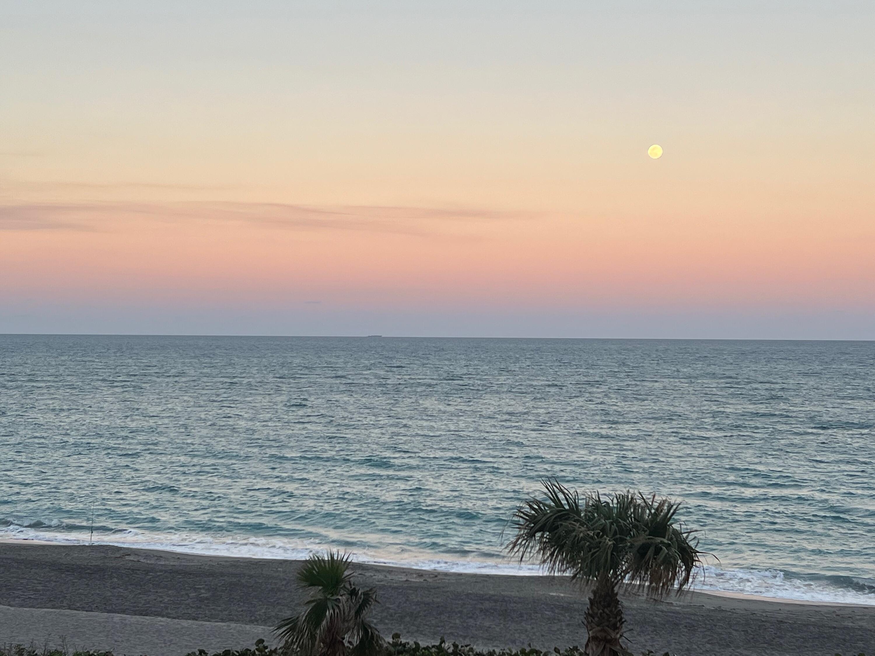 MLS #R11139324 image #43