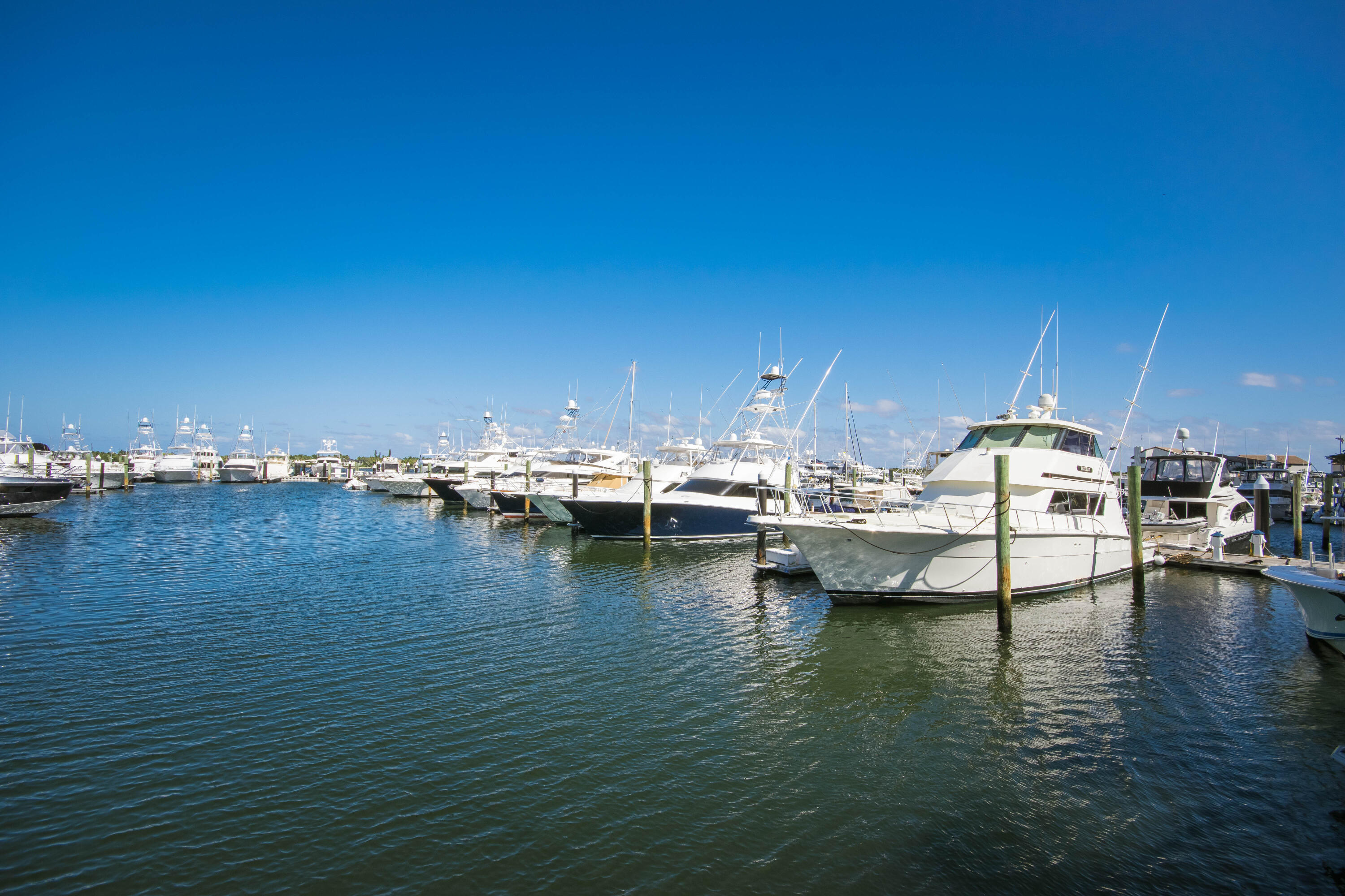 MLS #R11139676 image #59