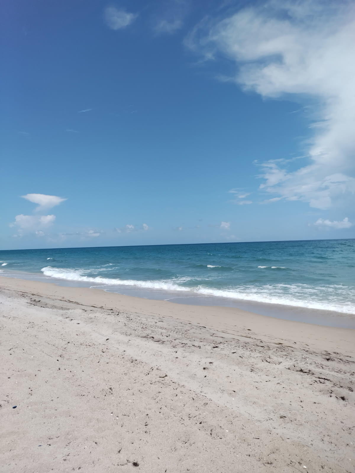 MLS #R11140047 image #24