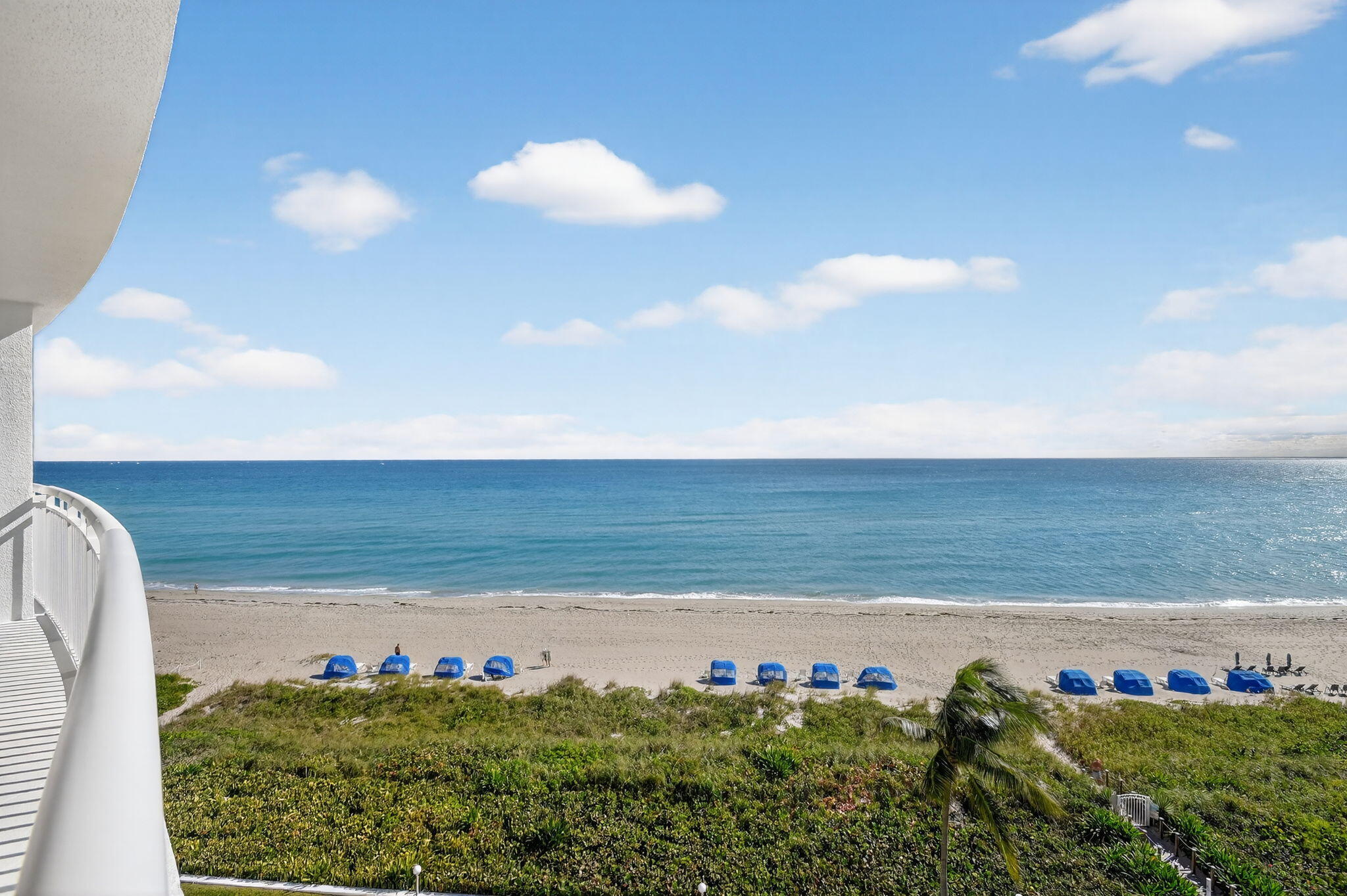 MLS #R11140850 image #4