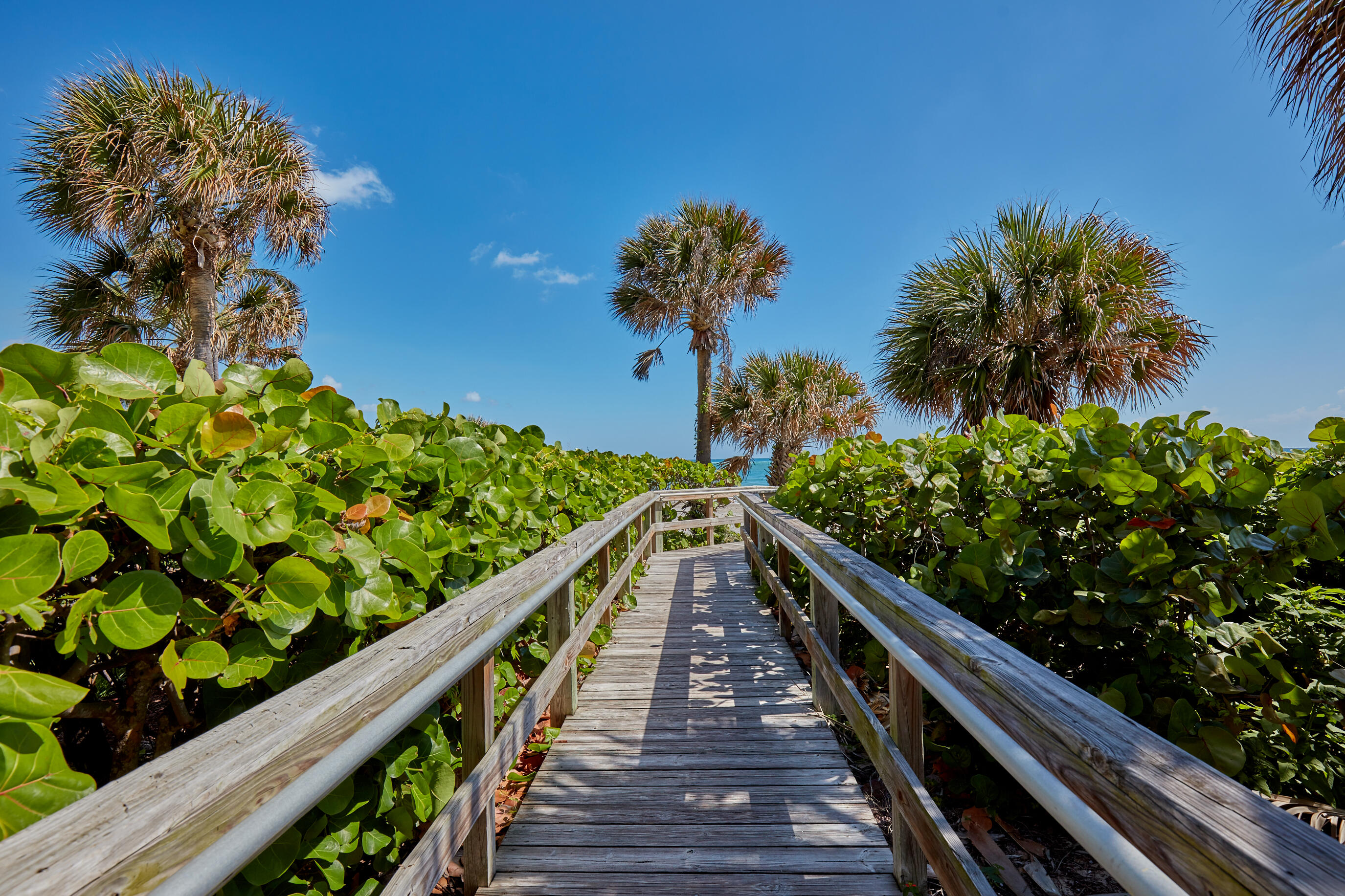 MLS #R11141212 image #21