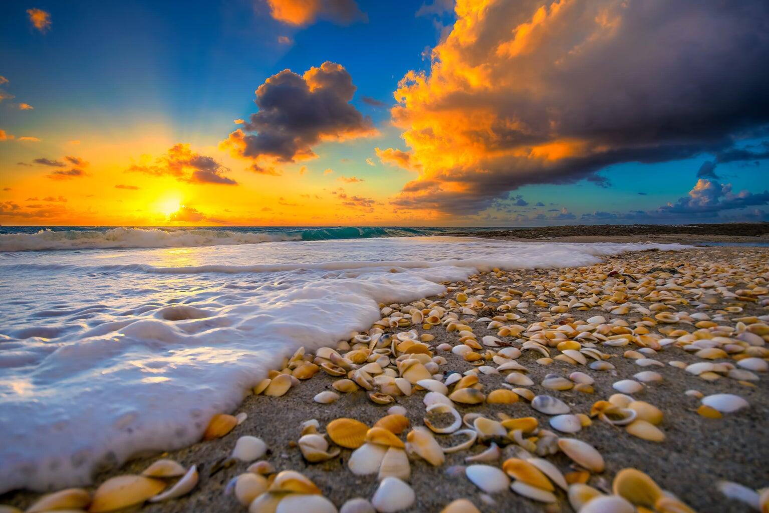 MLS #R11141233 image #20