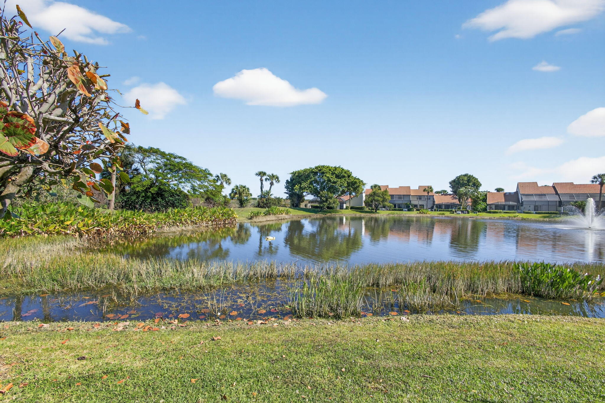 MLS #R11141501 image #30