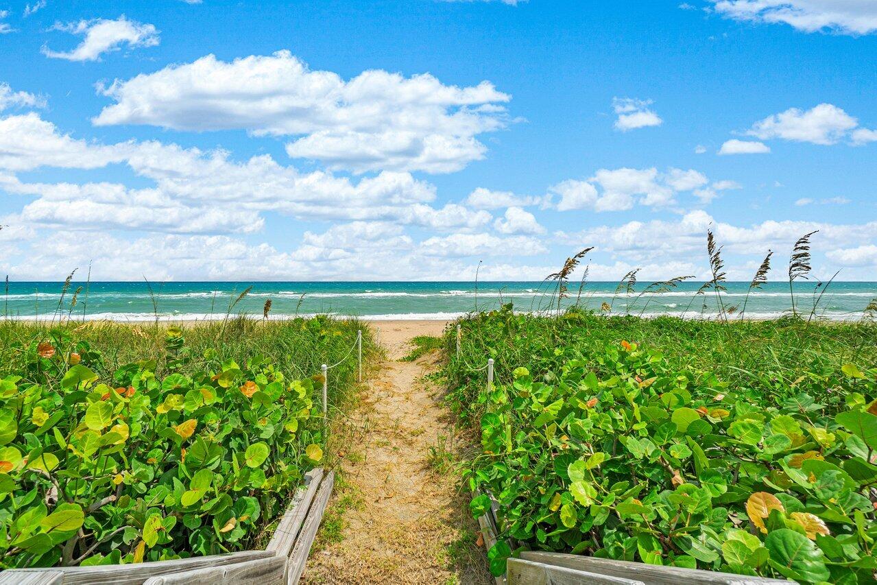 MLS #R11141502 image #47