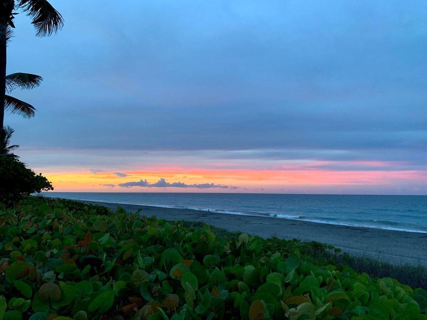 MLS #R11141685 image #64