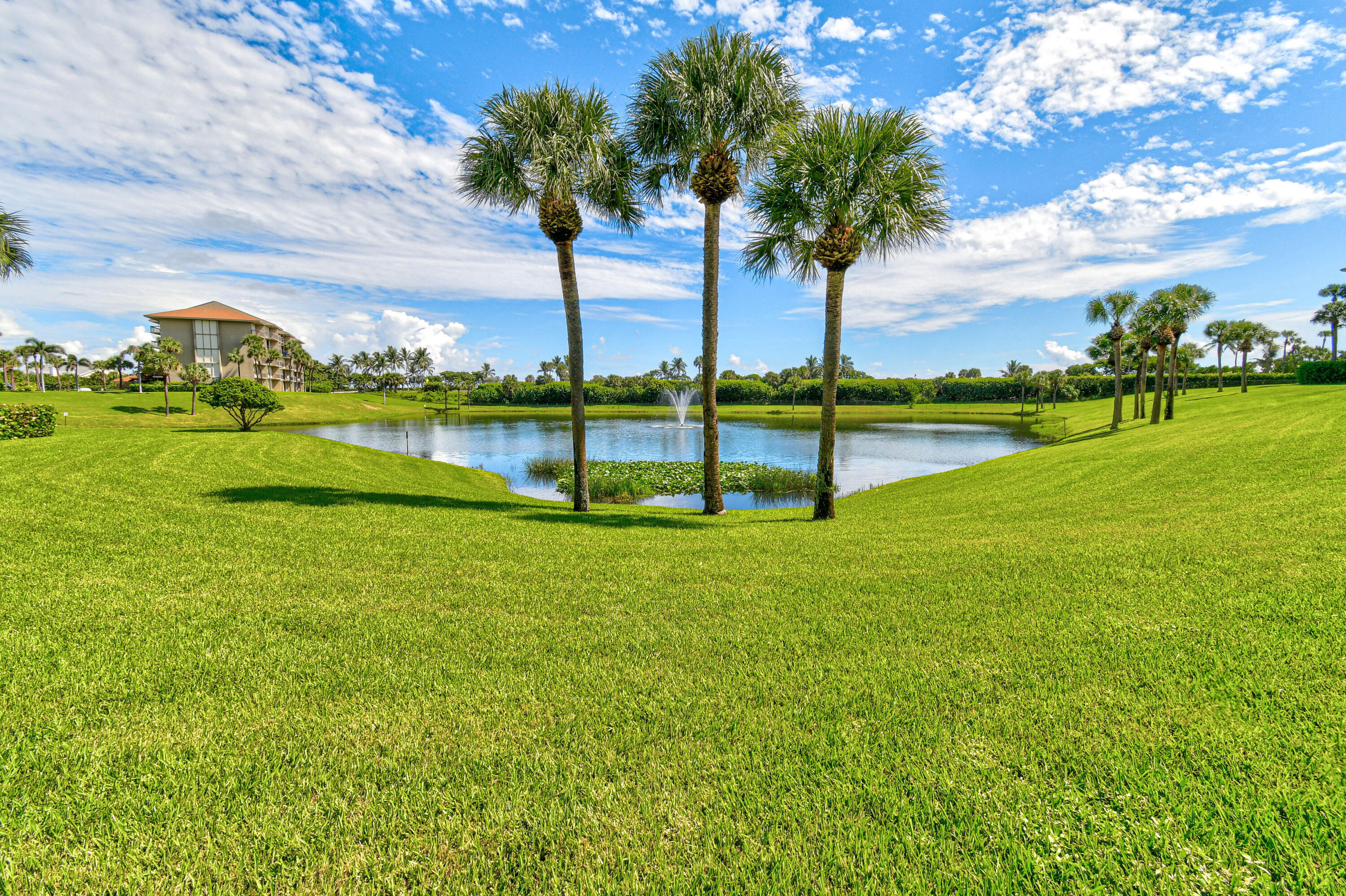 MLS #R11142458 image #44