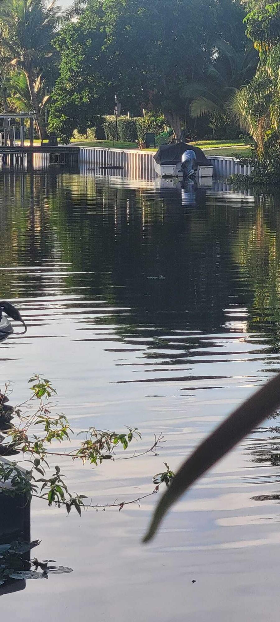 MLS #R11142513 image #35