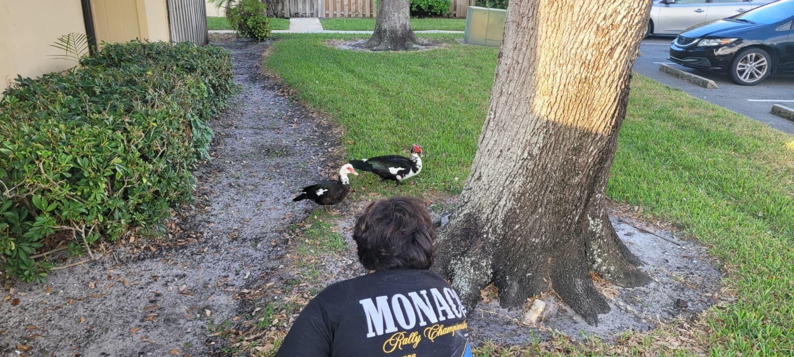 MLS #R11142513 image #37