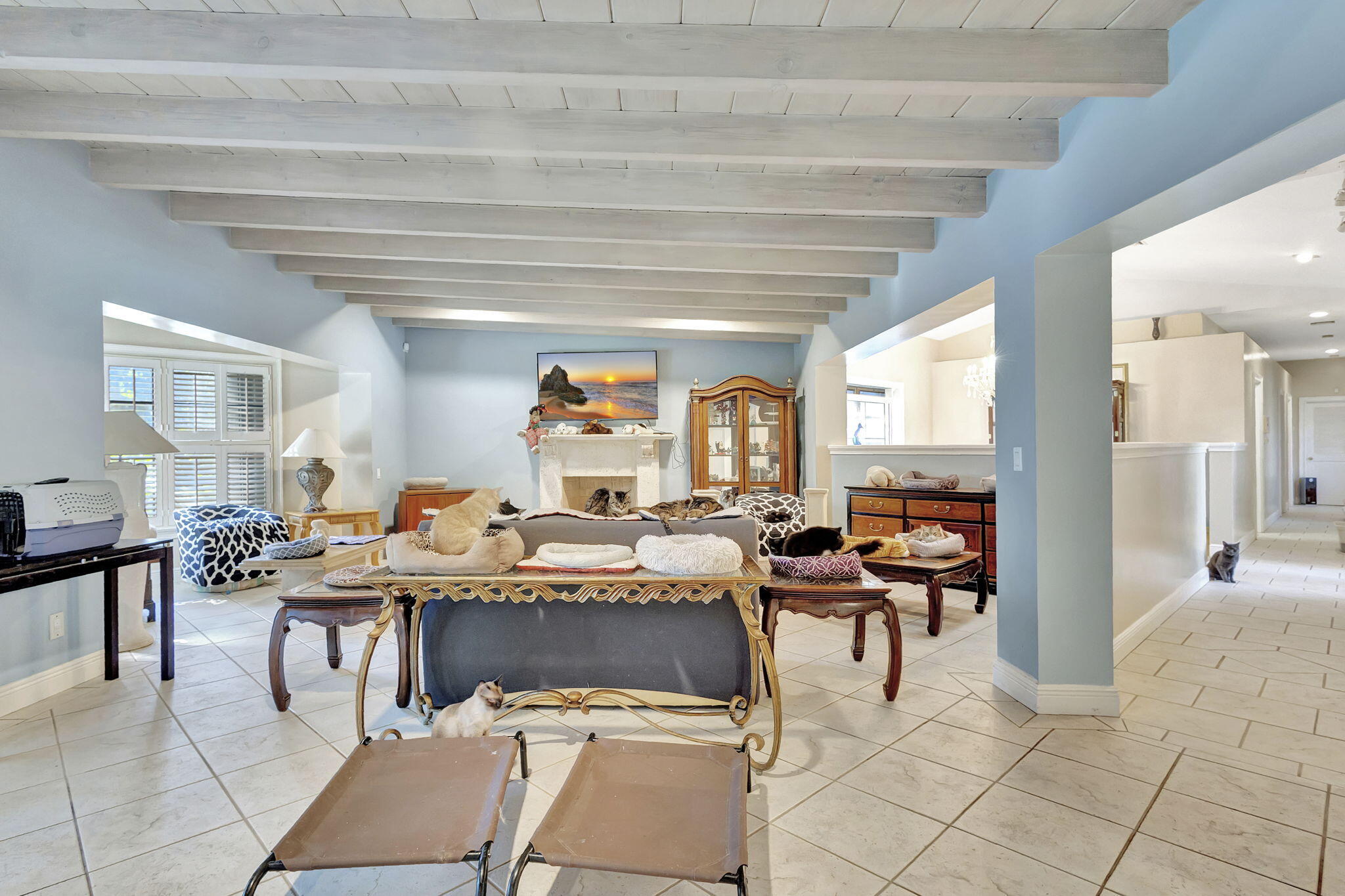 MLS #R11143221 image #10