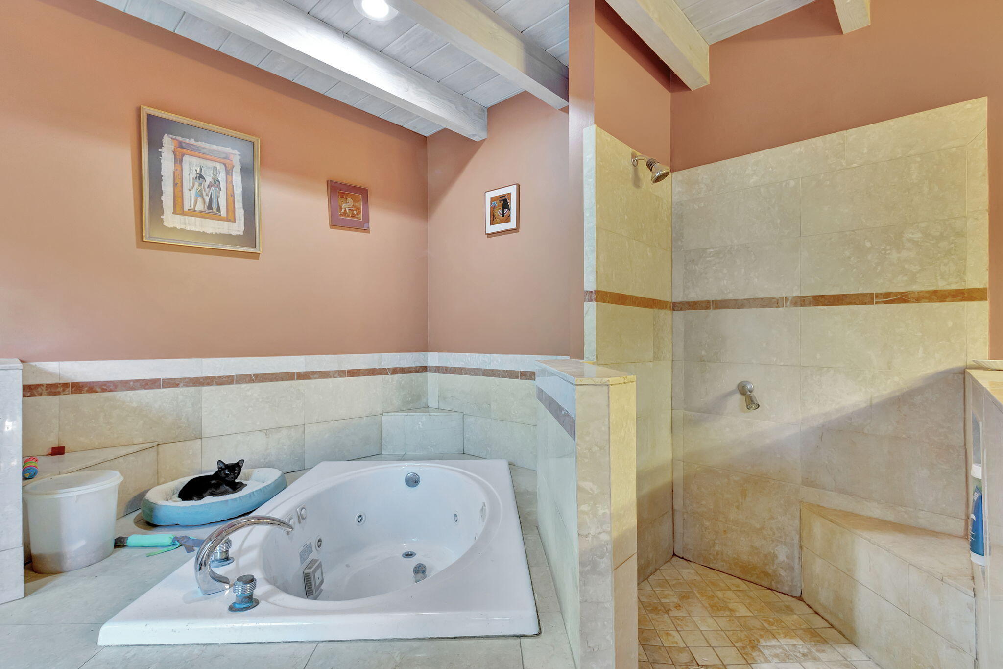 MLS #R11143221 image #28