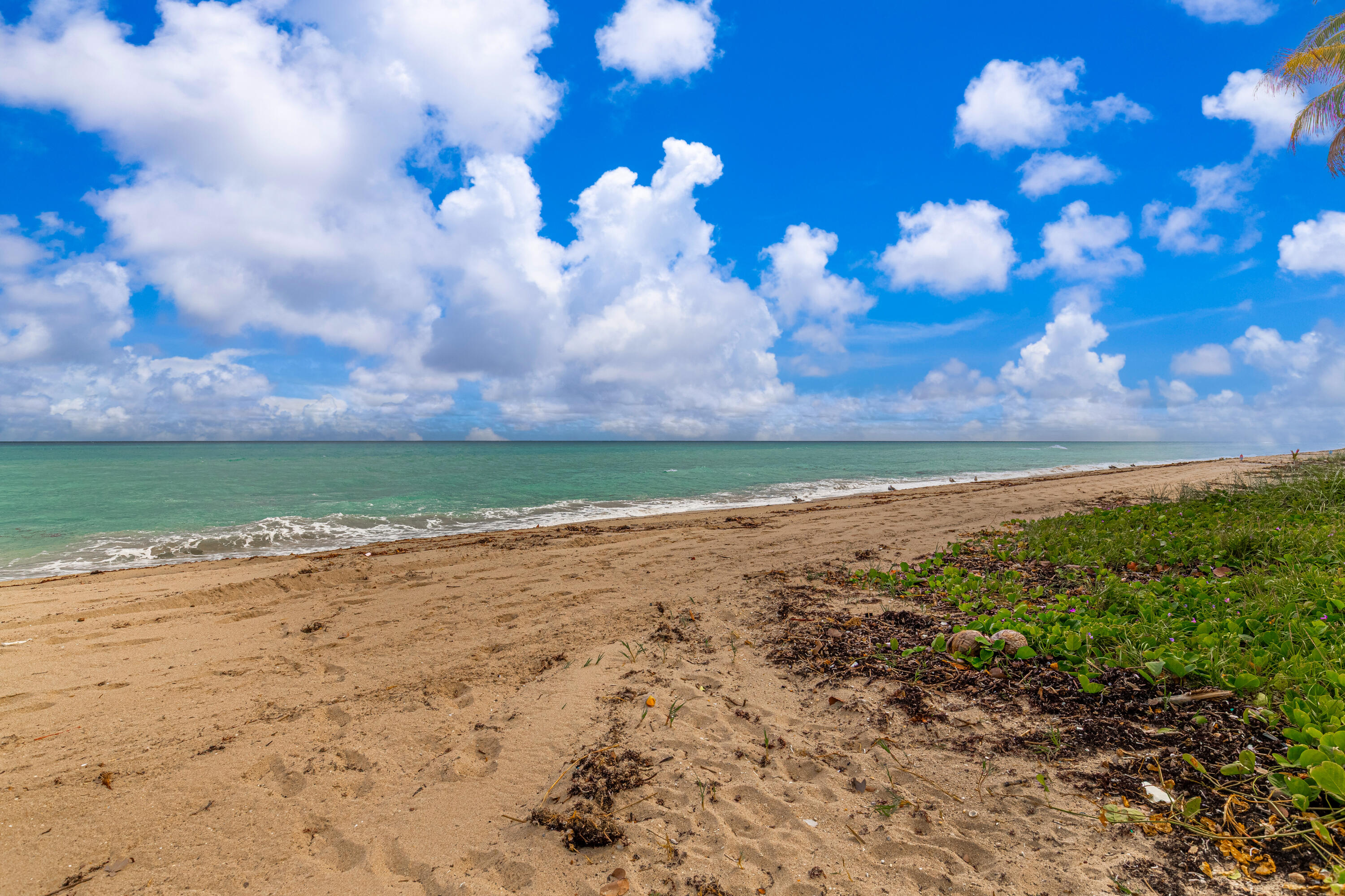 MLS #R11143456 image #22