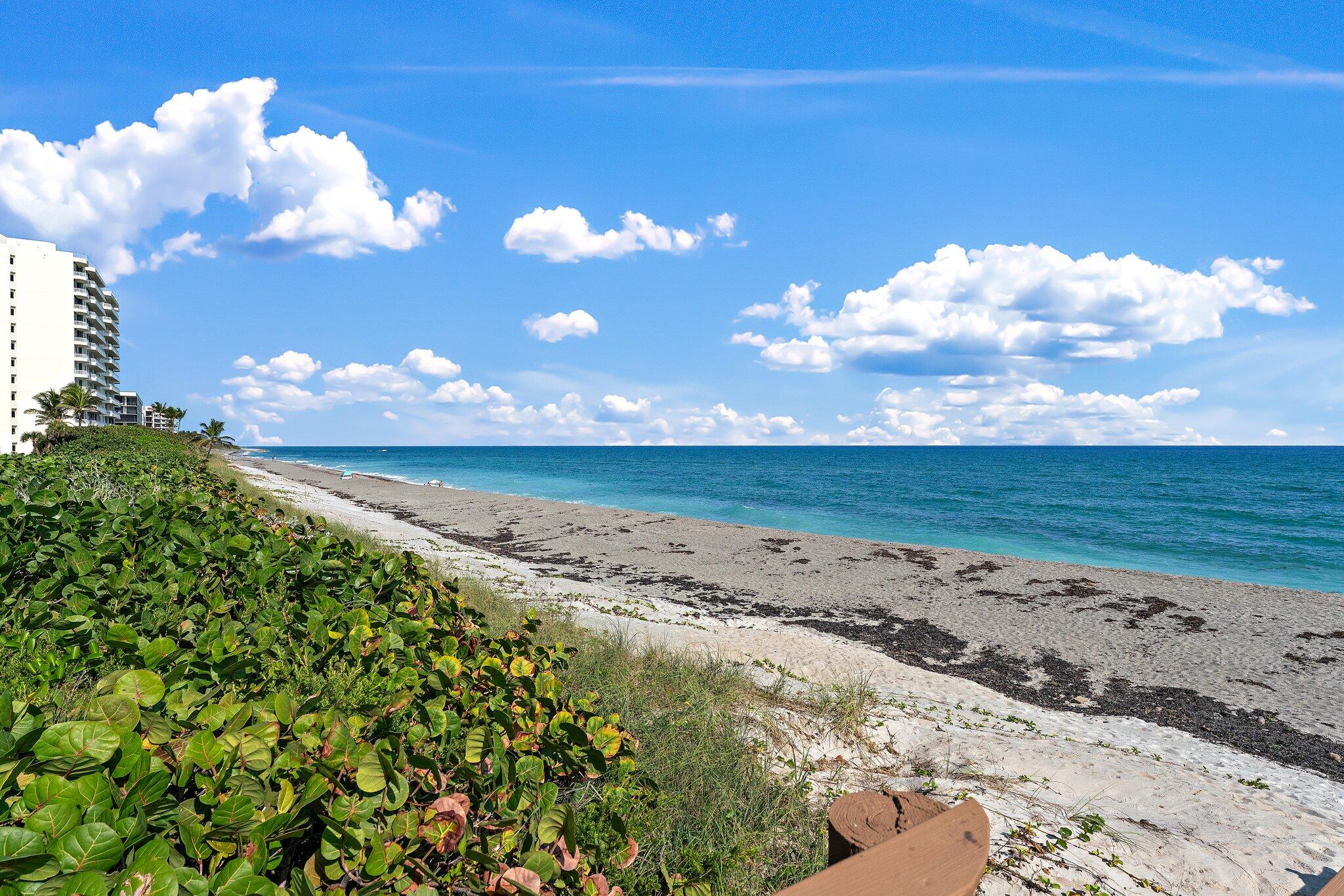 MLS #R11143751 image #76