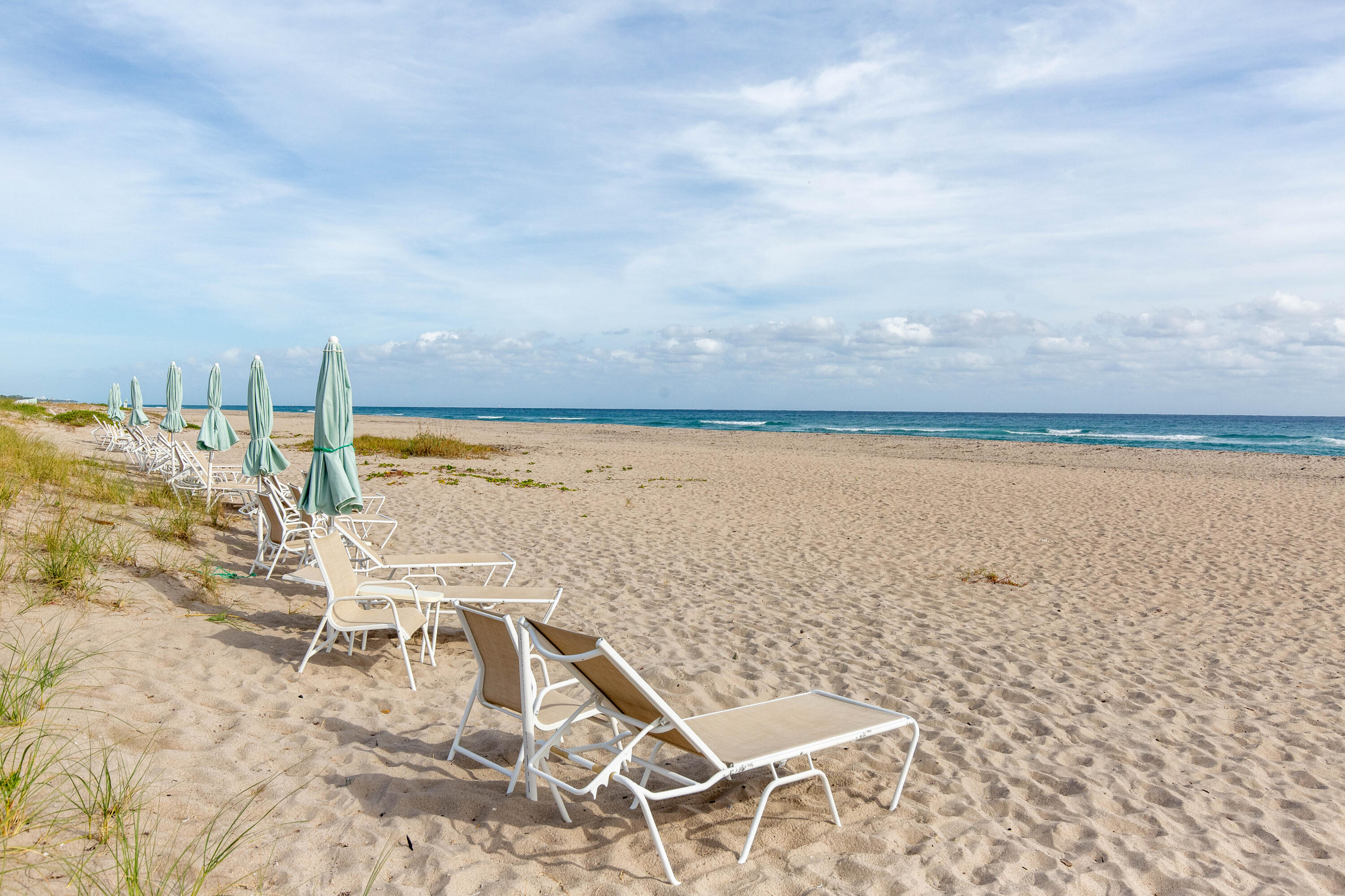 MLS #R11144323 image #13