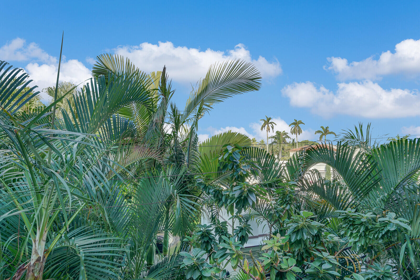 MLS #R11144661 image #28