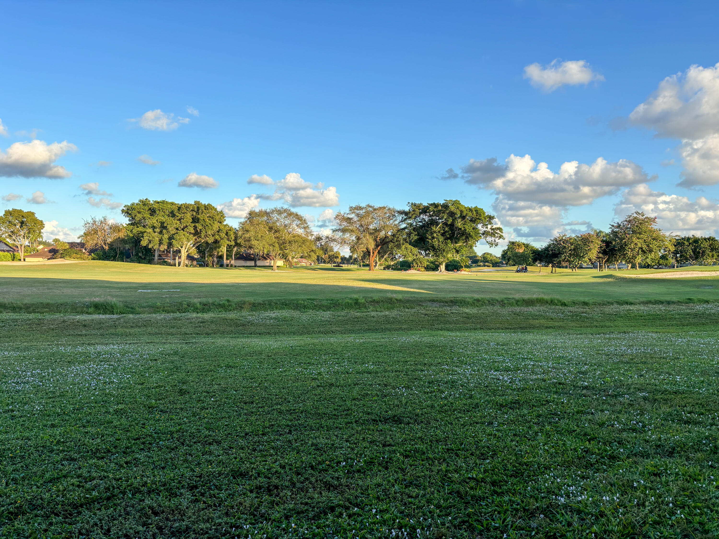 MLS #R11144799 image #45