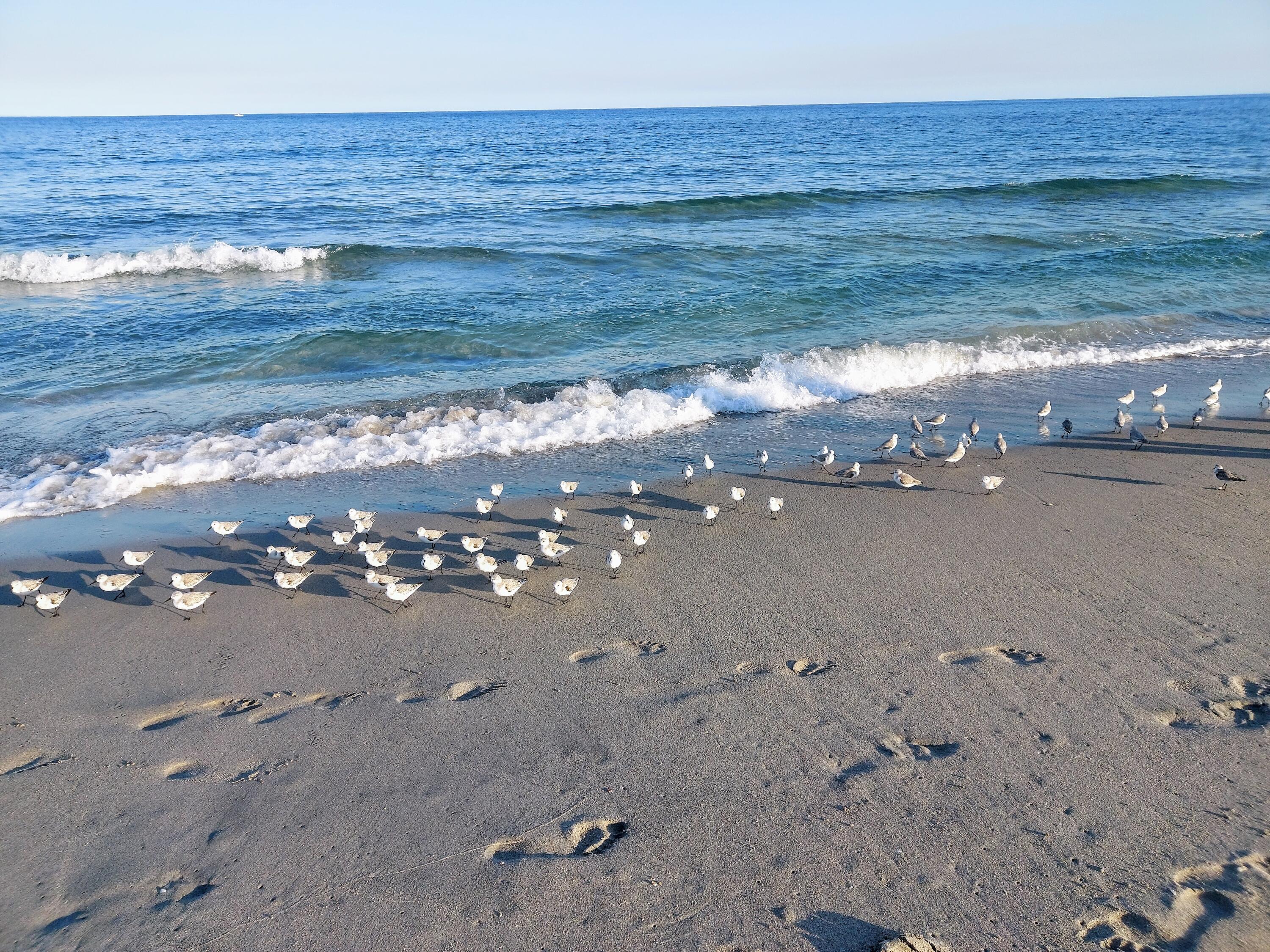 MLS #R11145066 image #22