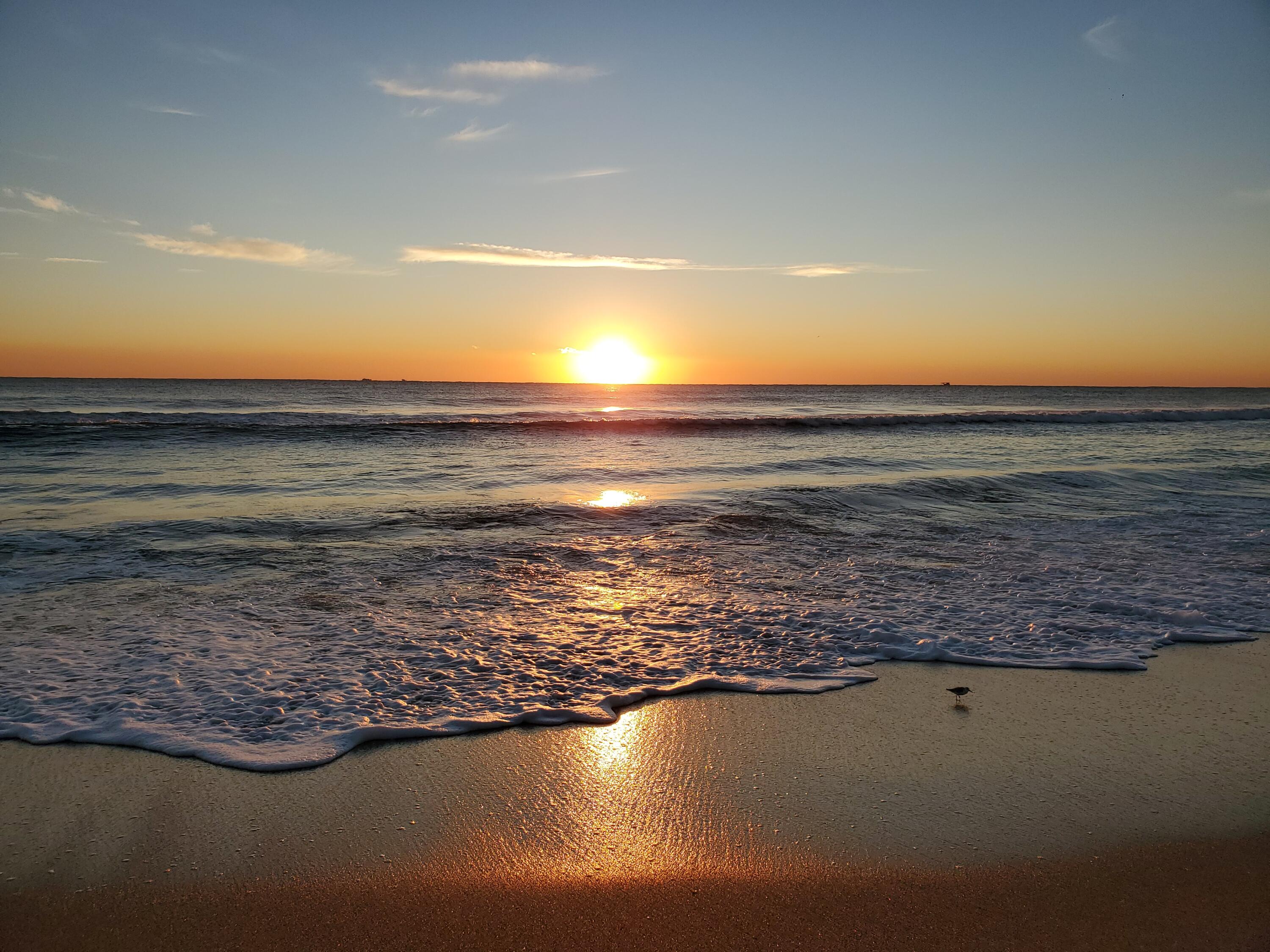 MLS #R11145066 image #23