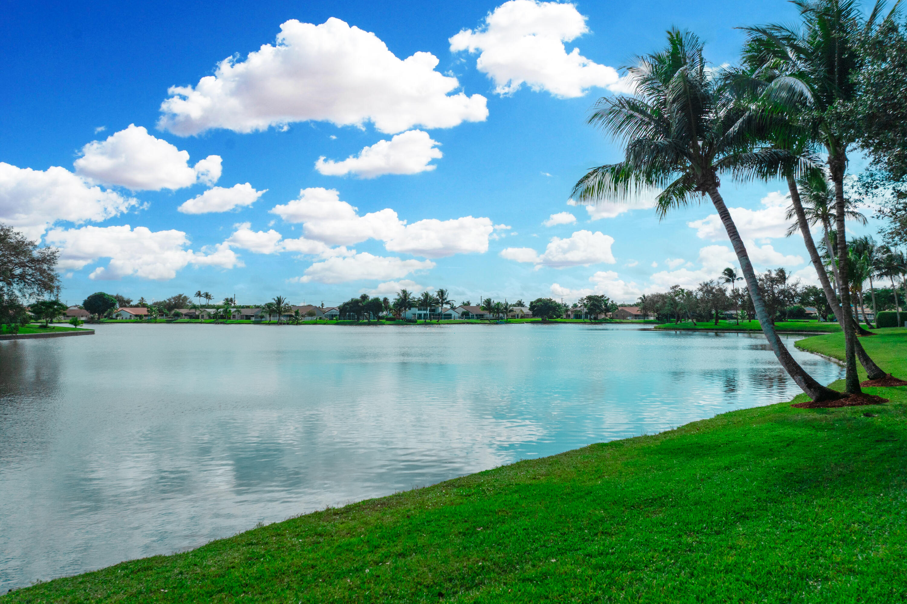 MLS #R11145208 image #5