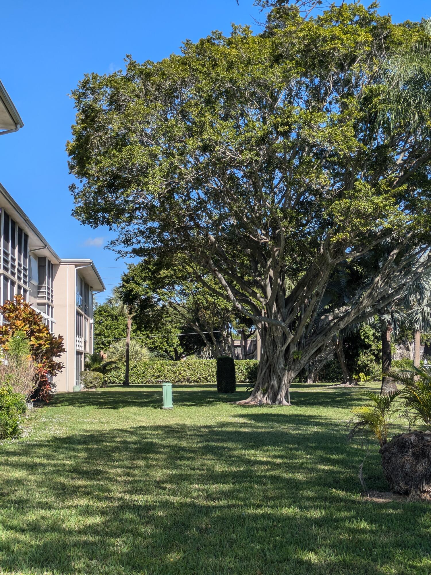 MLS #R11146395 image #5