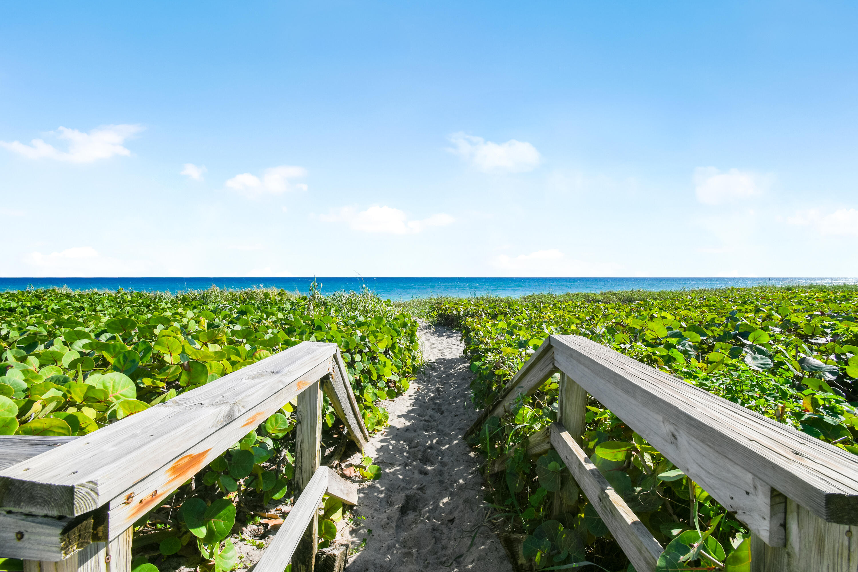 MLS #R11146467 image #3