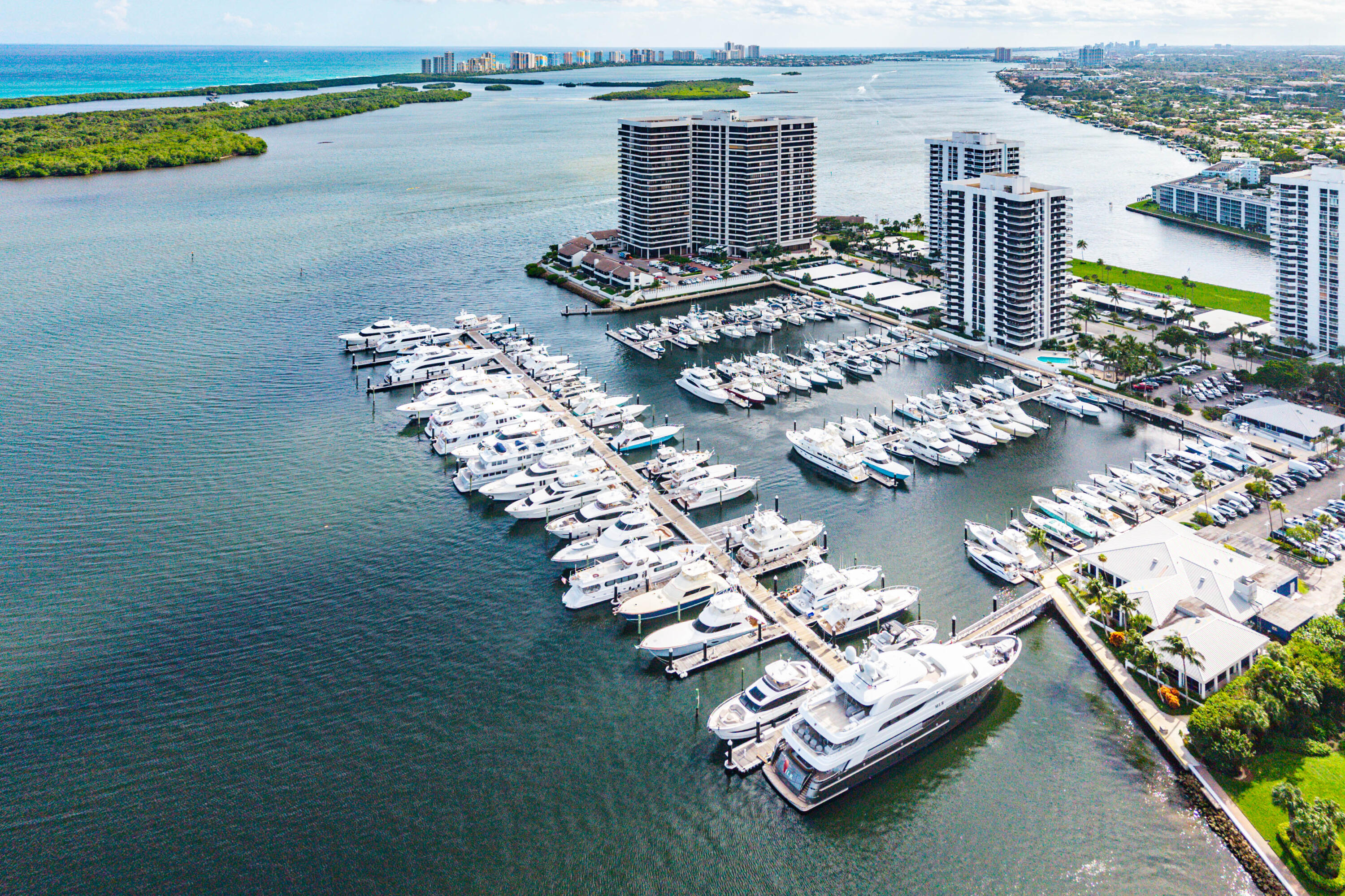 MLS #R11146824 image #4