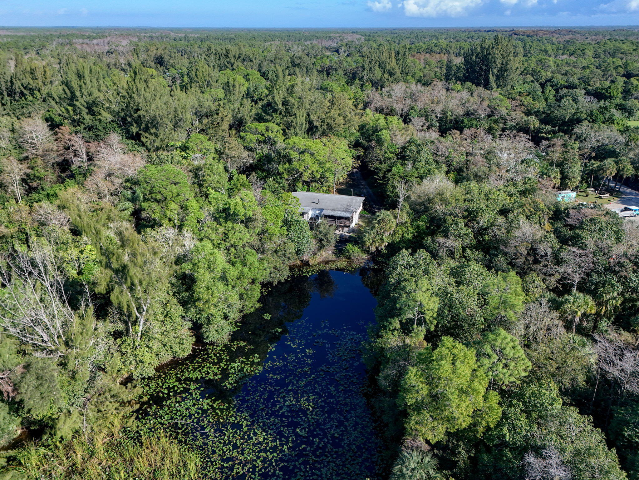 MLS #R11147441 image #10