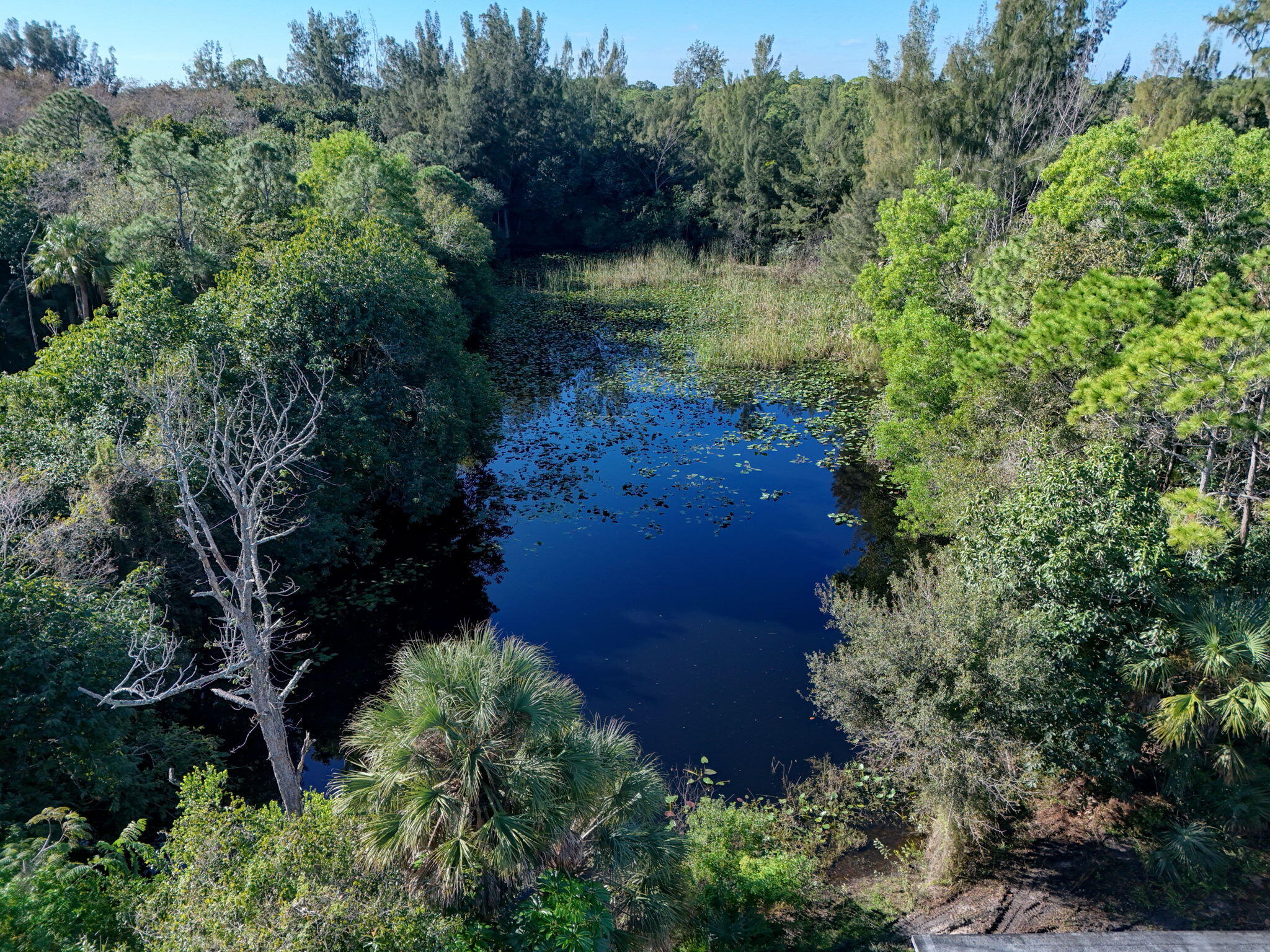 MLS #R11147441 image #15