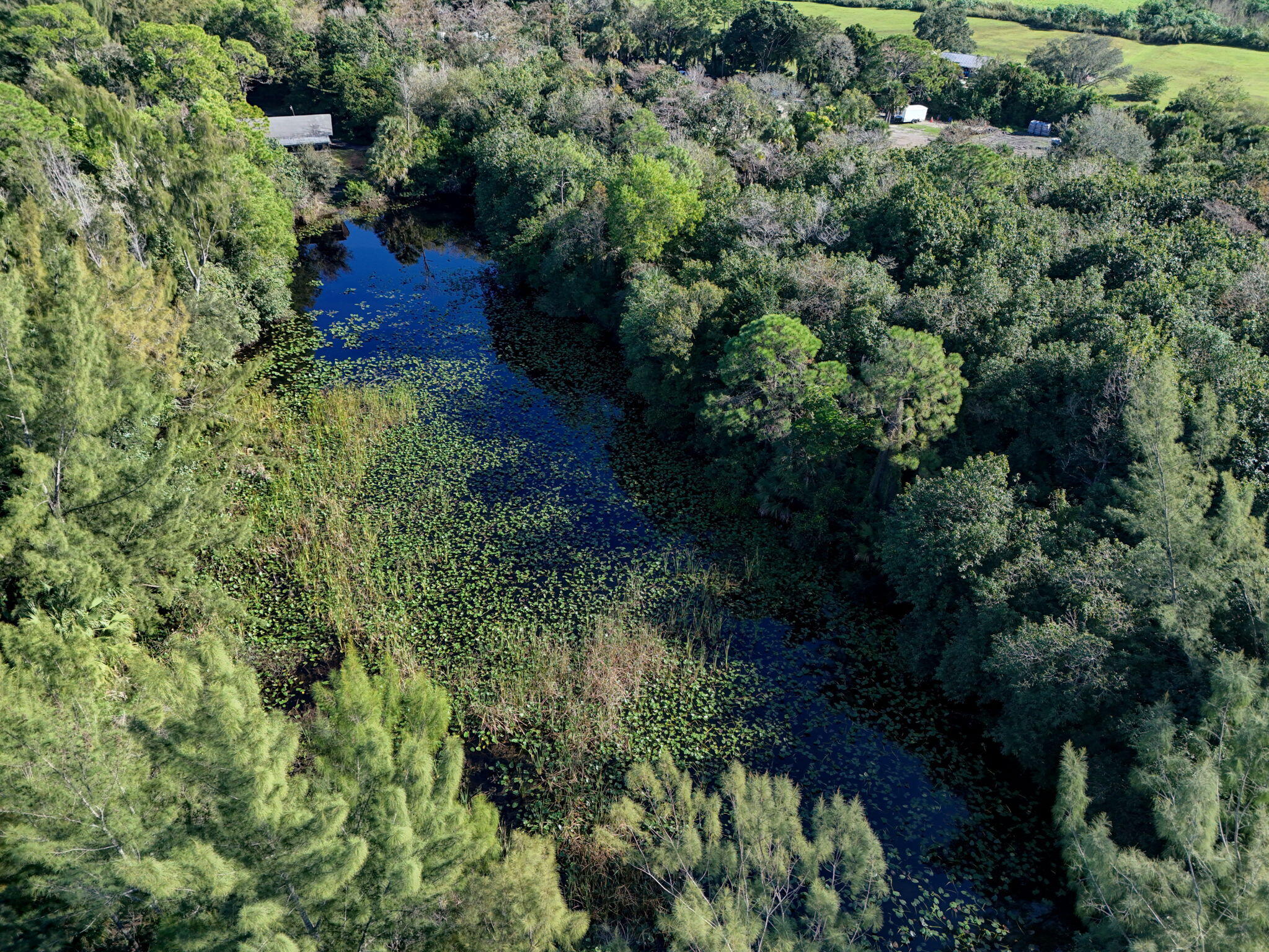 MLS #R11147441 image #2