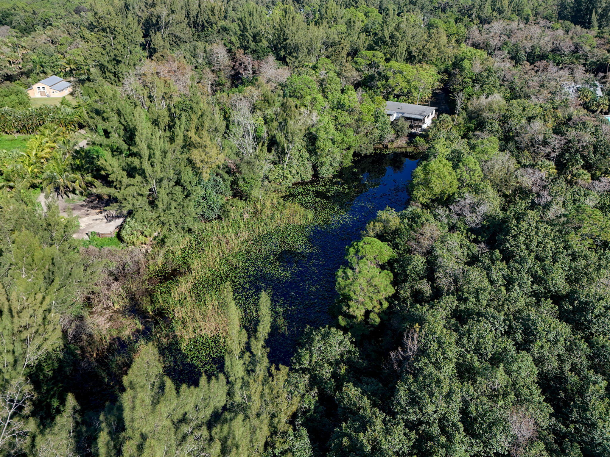 MLS #R11147441 image #9