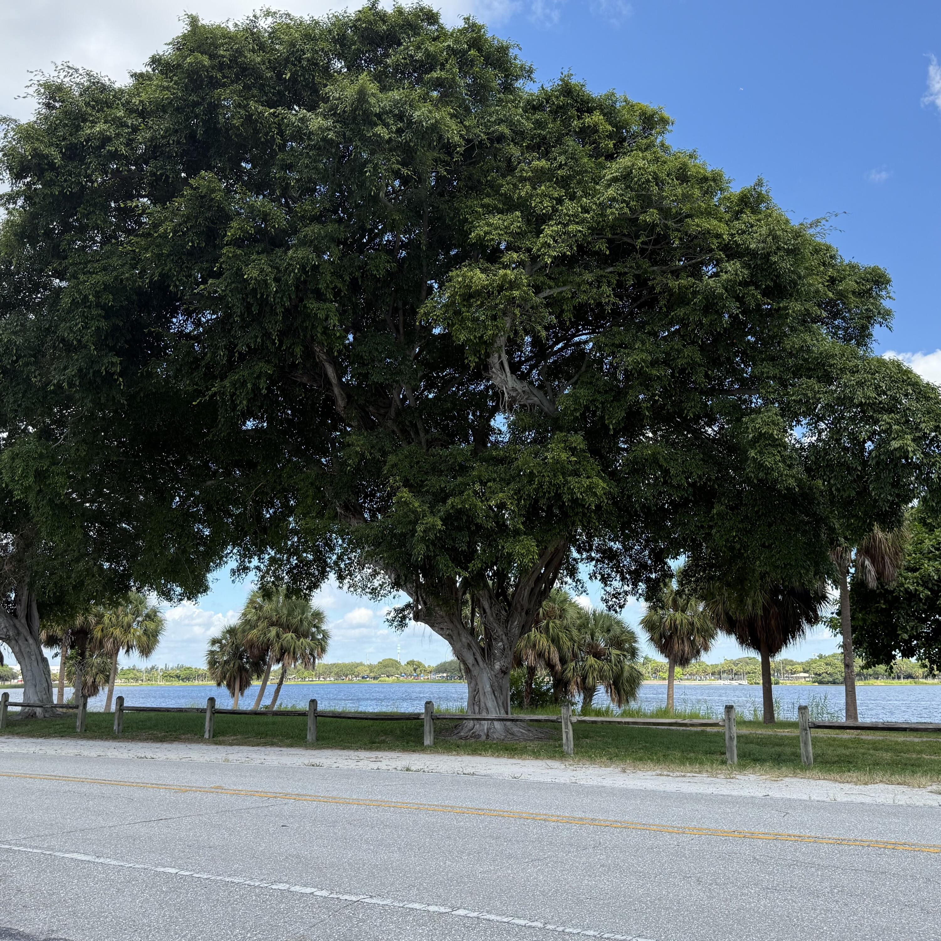 MLS #R11147612 image #10