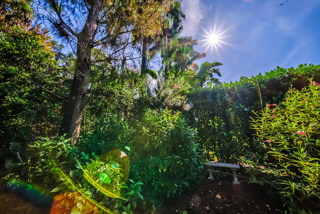 MLS #R11147655 image #55