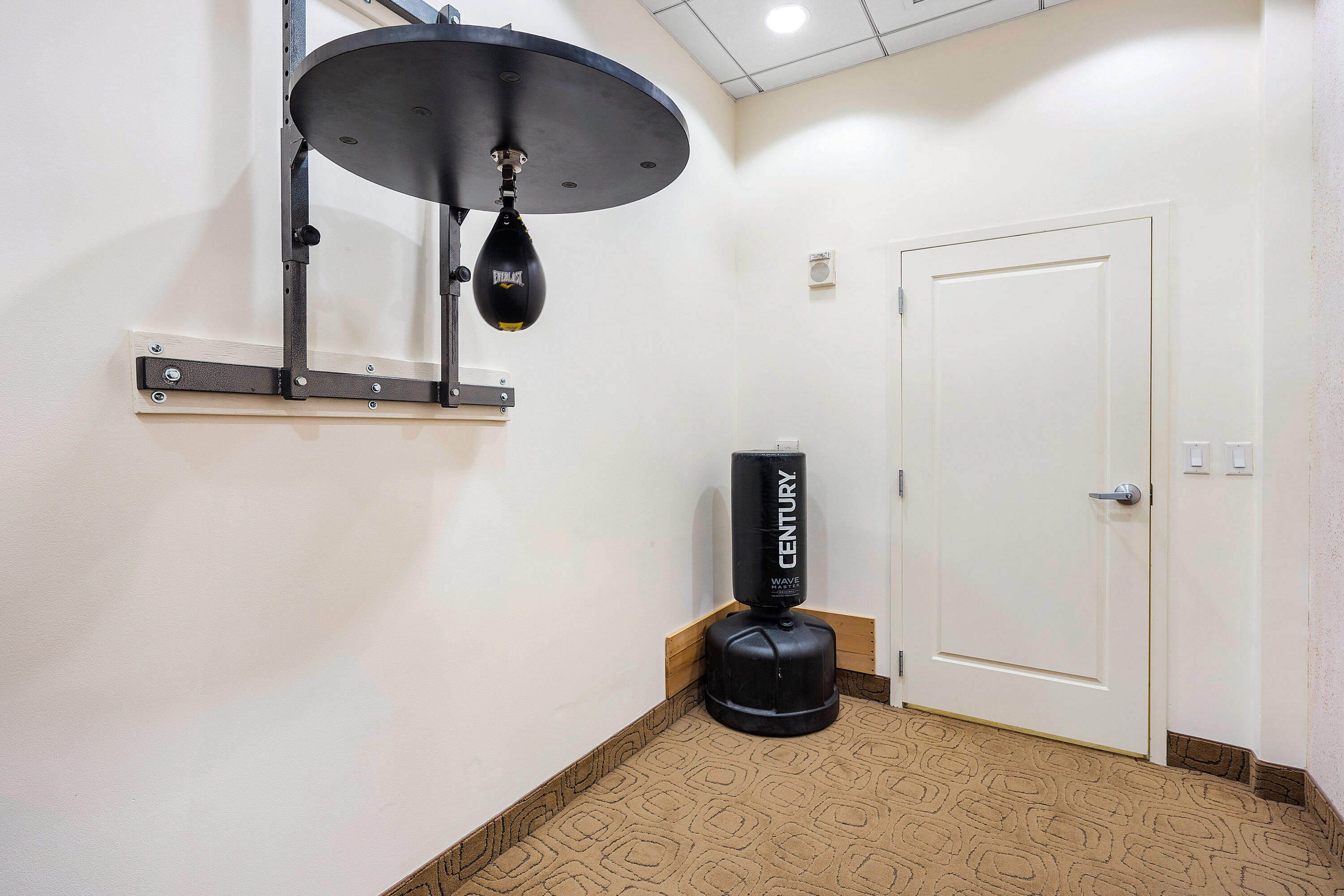 MLS #R11148070 image #27