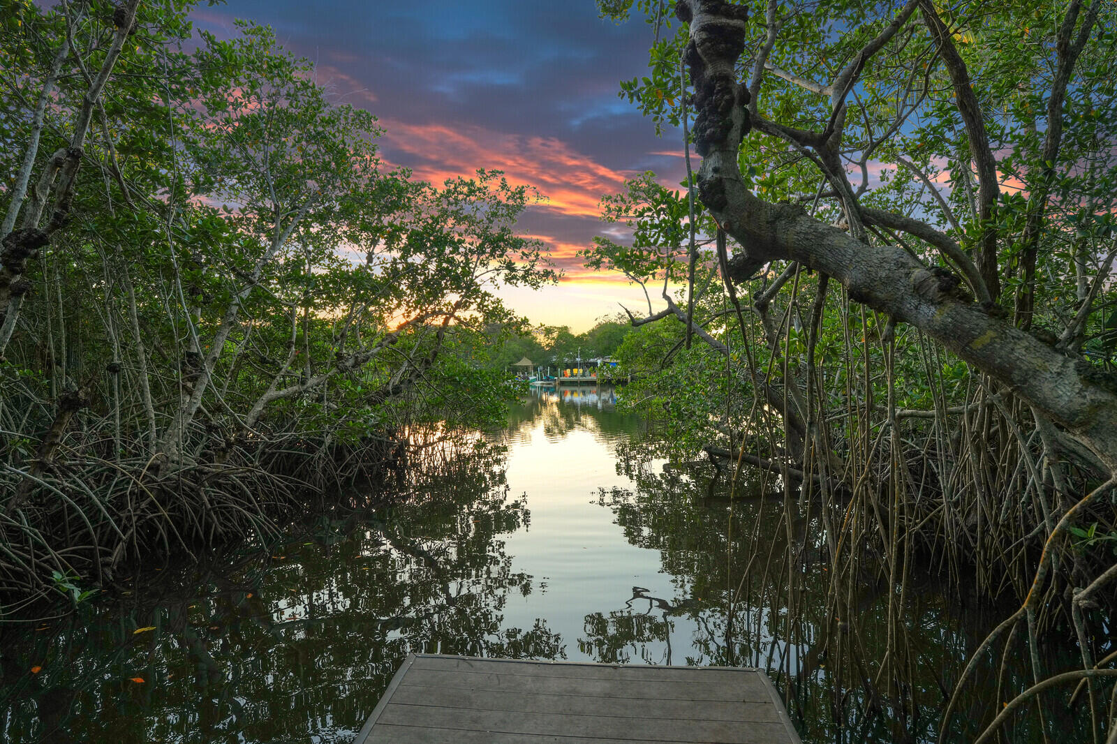 MLS #R11148375 image #1