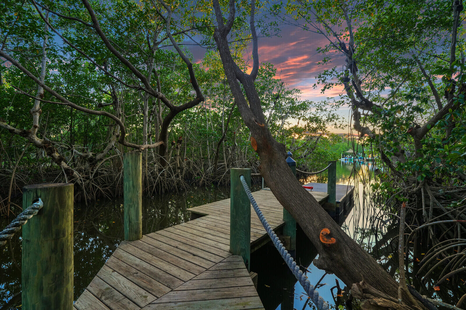 MLS #R11148375 image #6