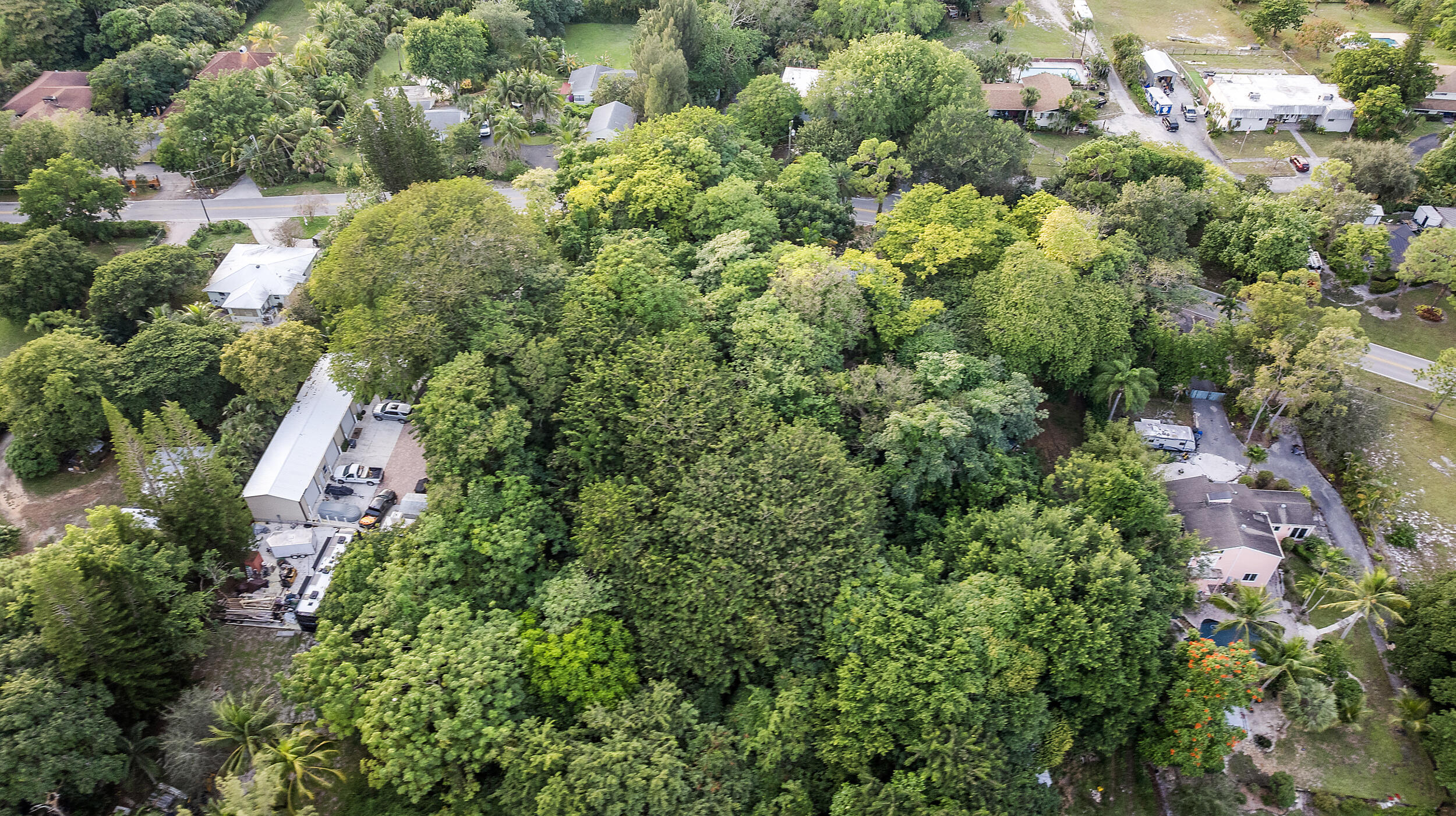 MLS #R11148485 image #53