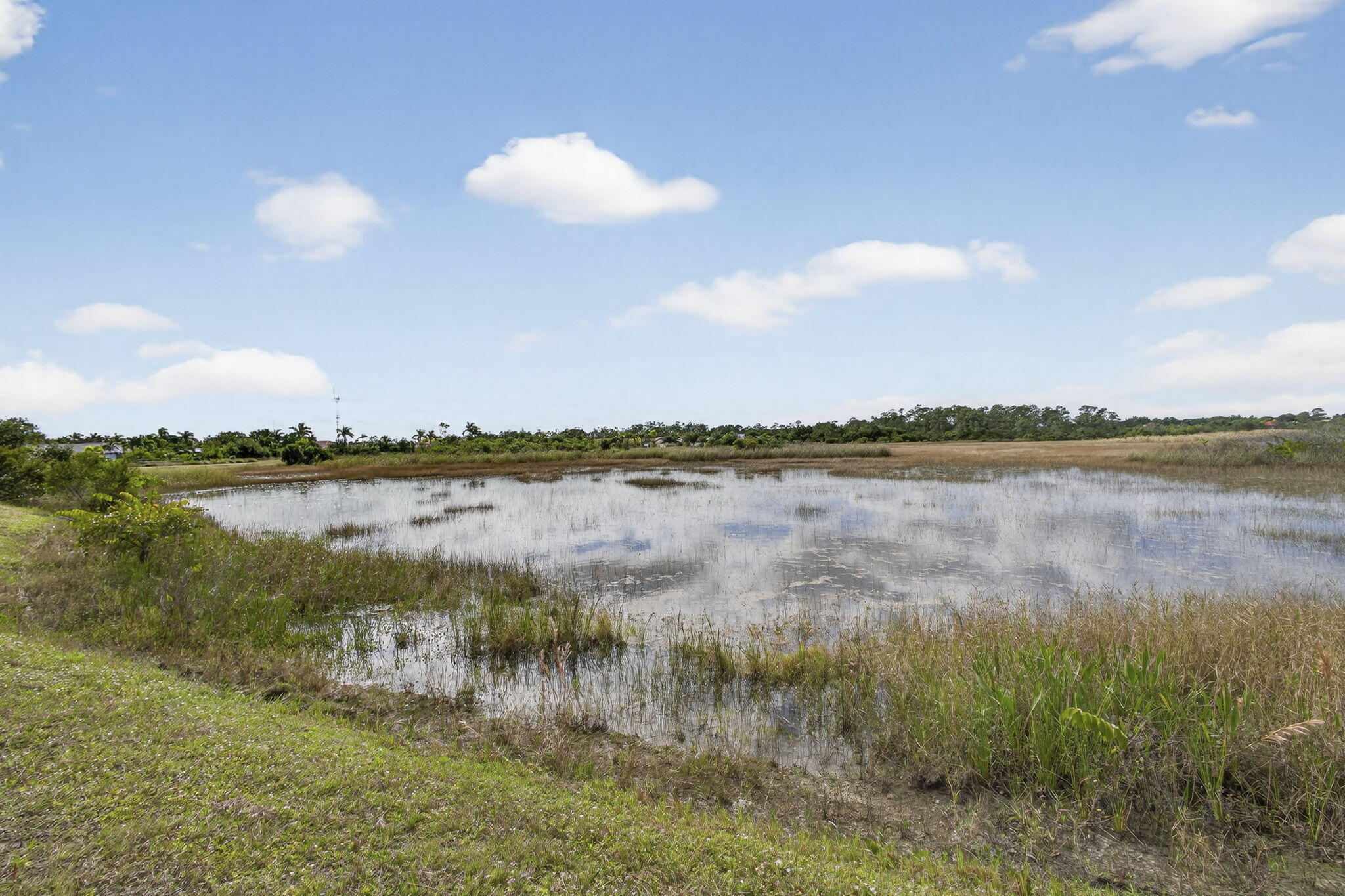 MLS #R11149097 image #63